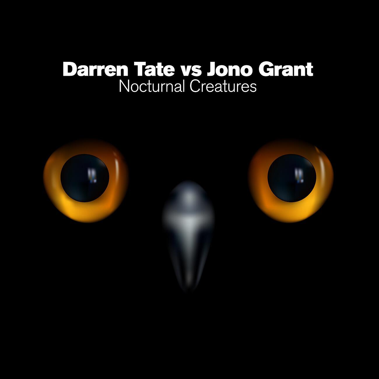 Darren Tate - Nocturnal Creatures (Sassot & David Con G Remix)