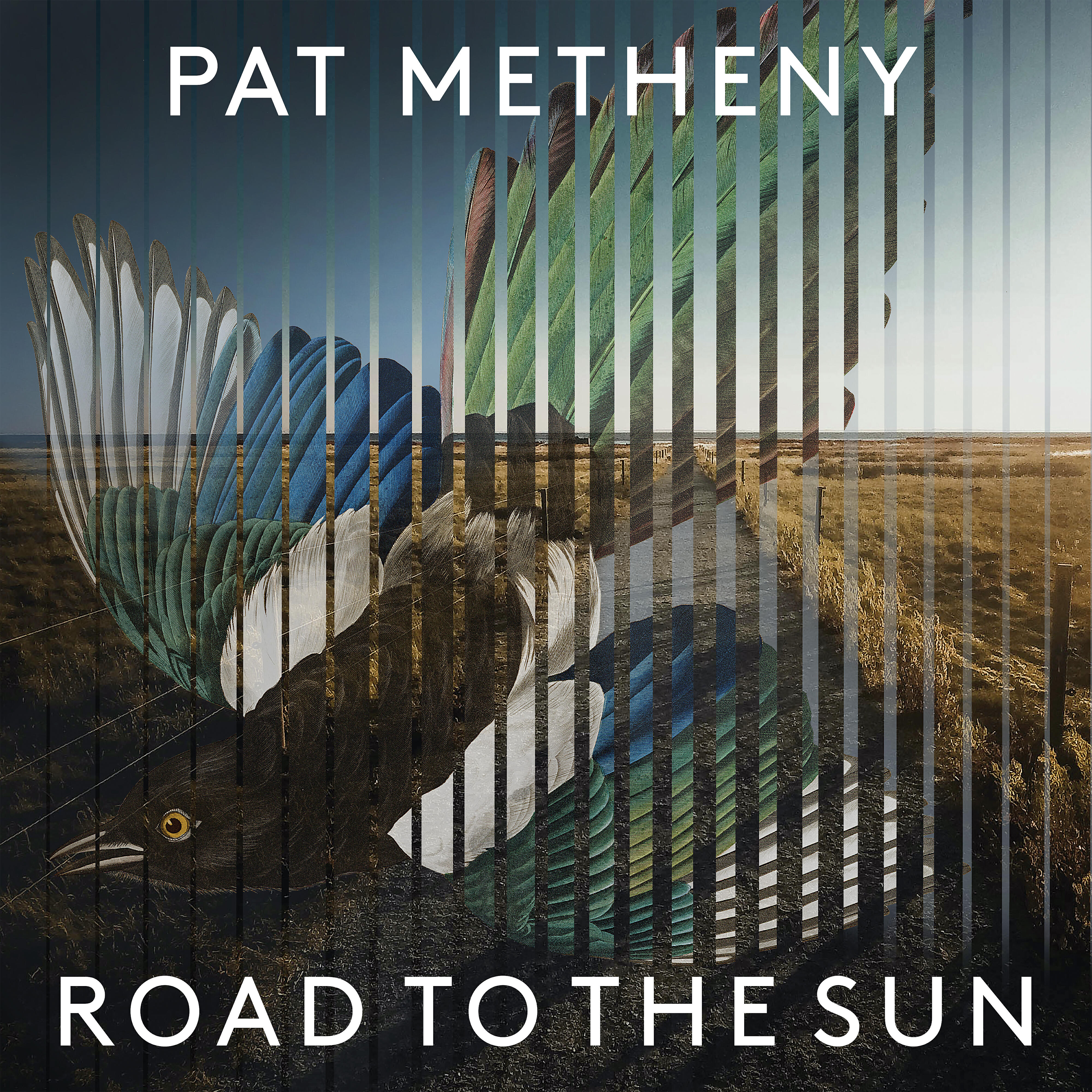 Pat Metheny - Arvo Pärt: Für Alina (arr. Pat Metheny for 42 string guitar)
