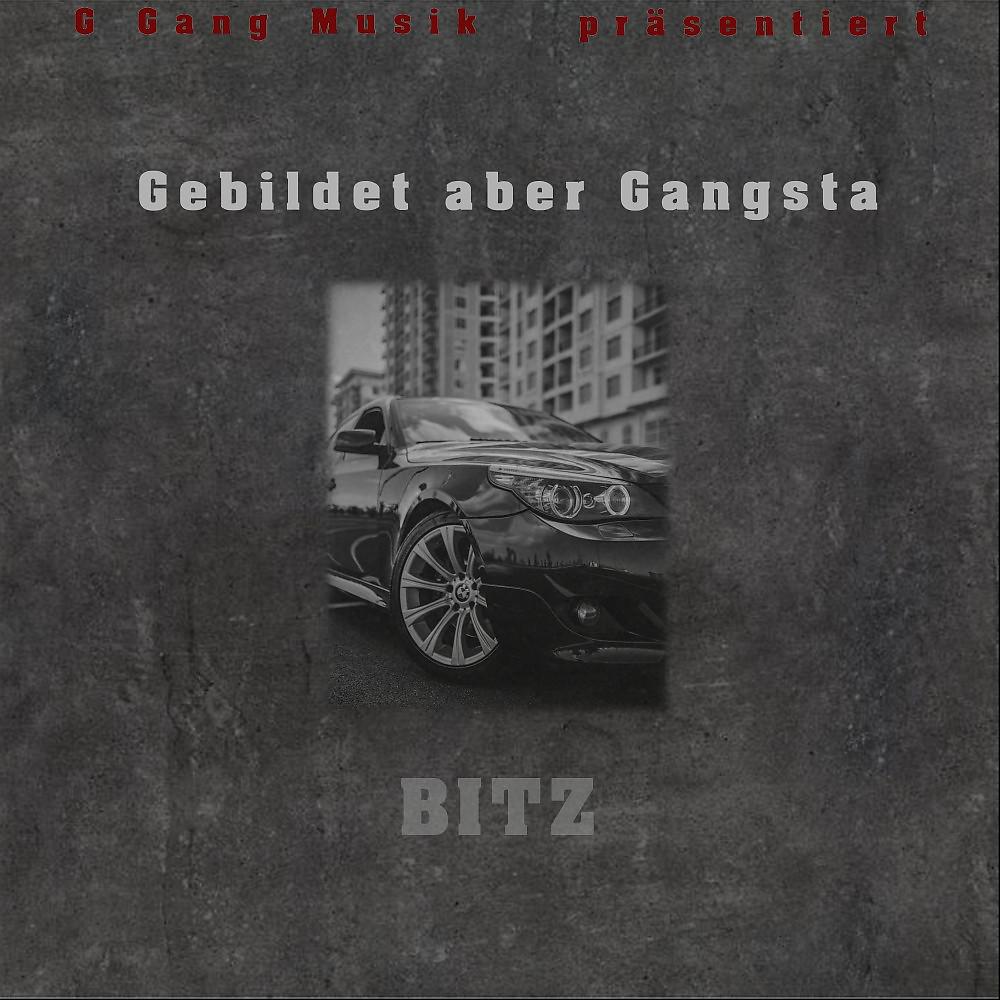 Постер альбома Gebildet aber Gangsta