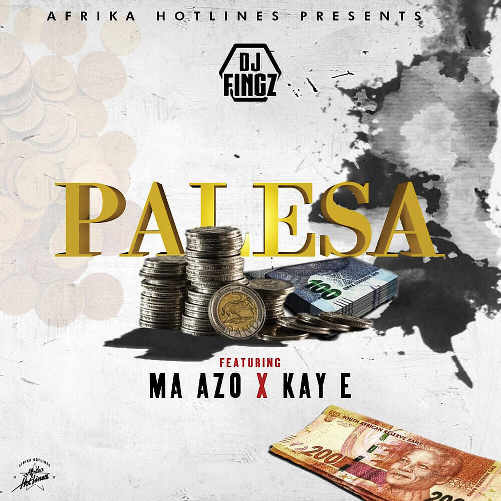 Dj Fingz - Palesa