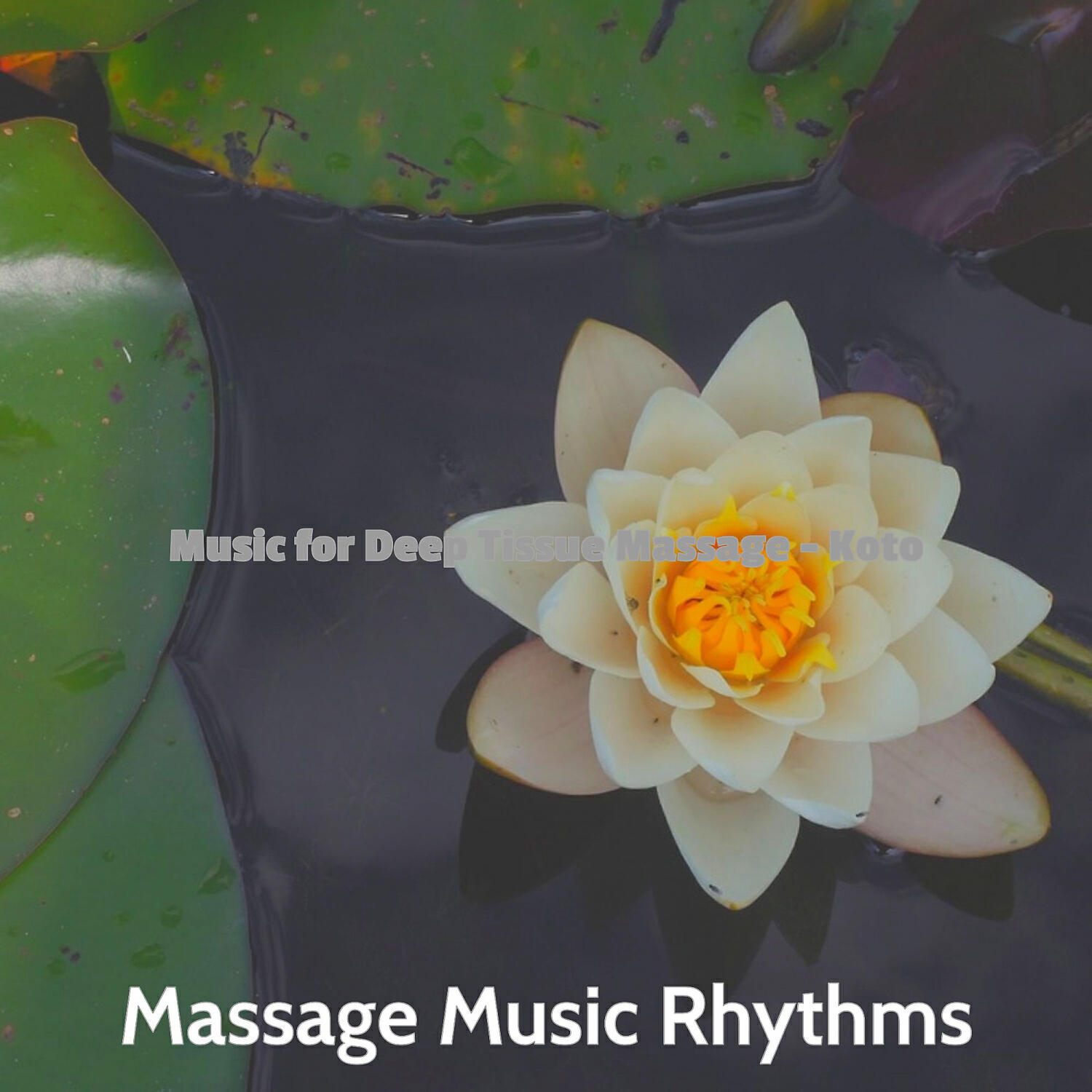 Massage Music Rhythms - Fashionable Ambience for 1 Hour Spa