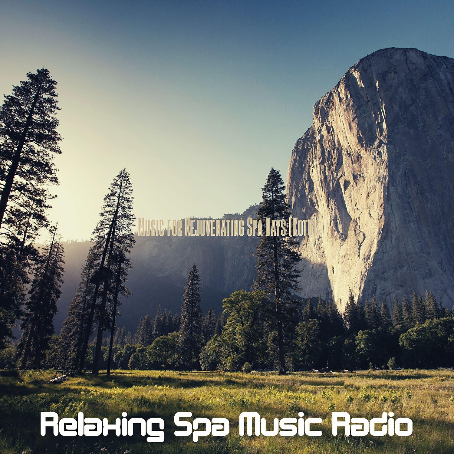 Relaxing Spa Music Radio - Deluxe Koto and Strings - Vibe for Insomnia