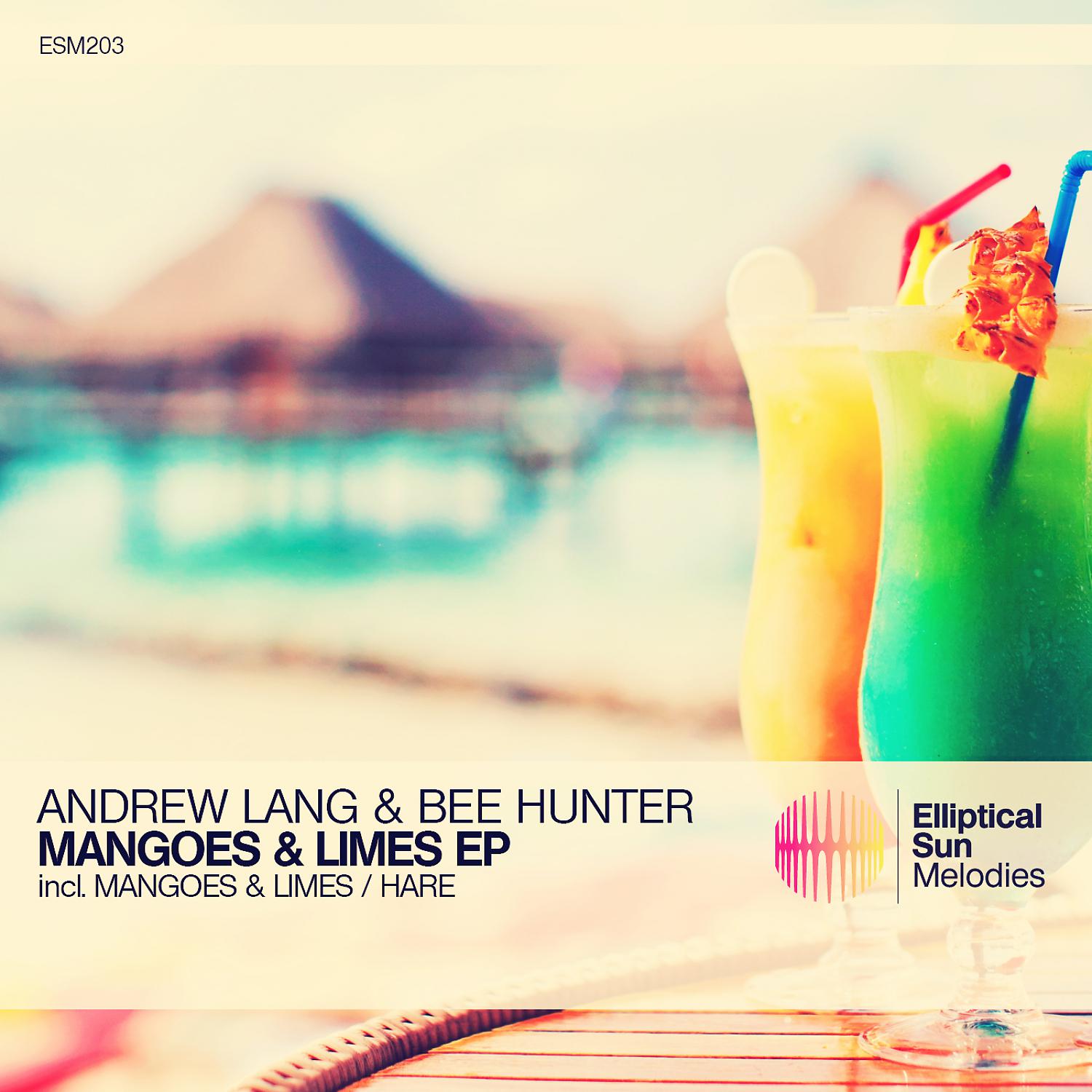 Постер альбома Mangoes & Limes EP
