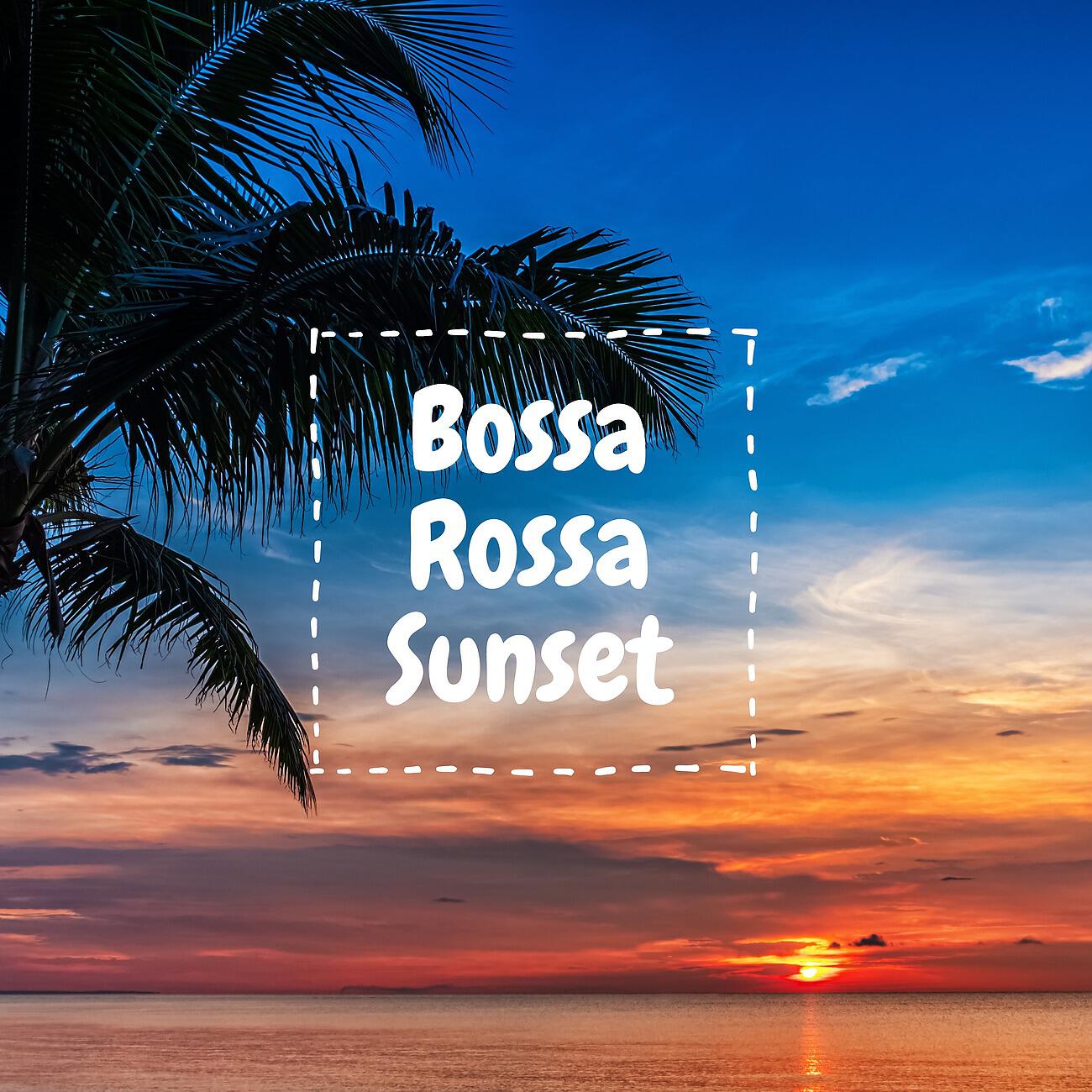 Background Instrumental Music Collective - Tropical Flow