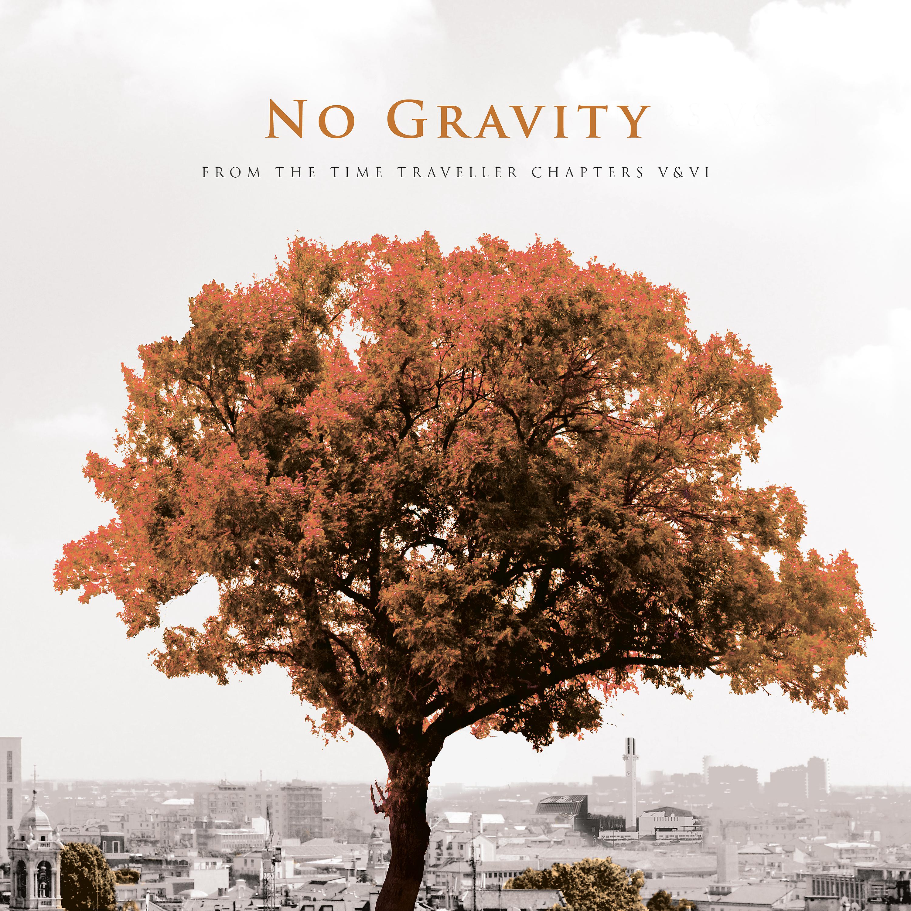 Постер альбома No Gravity