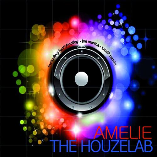 The Houzelab - Amelie (Luca P Remix)