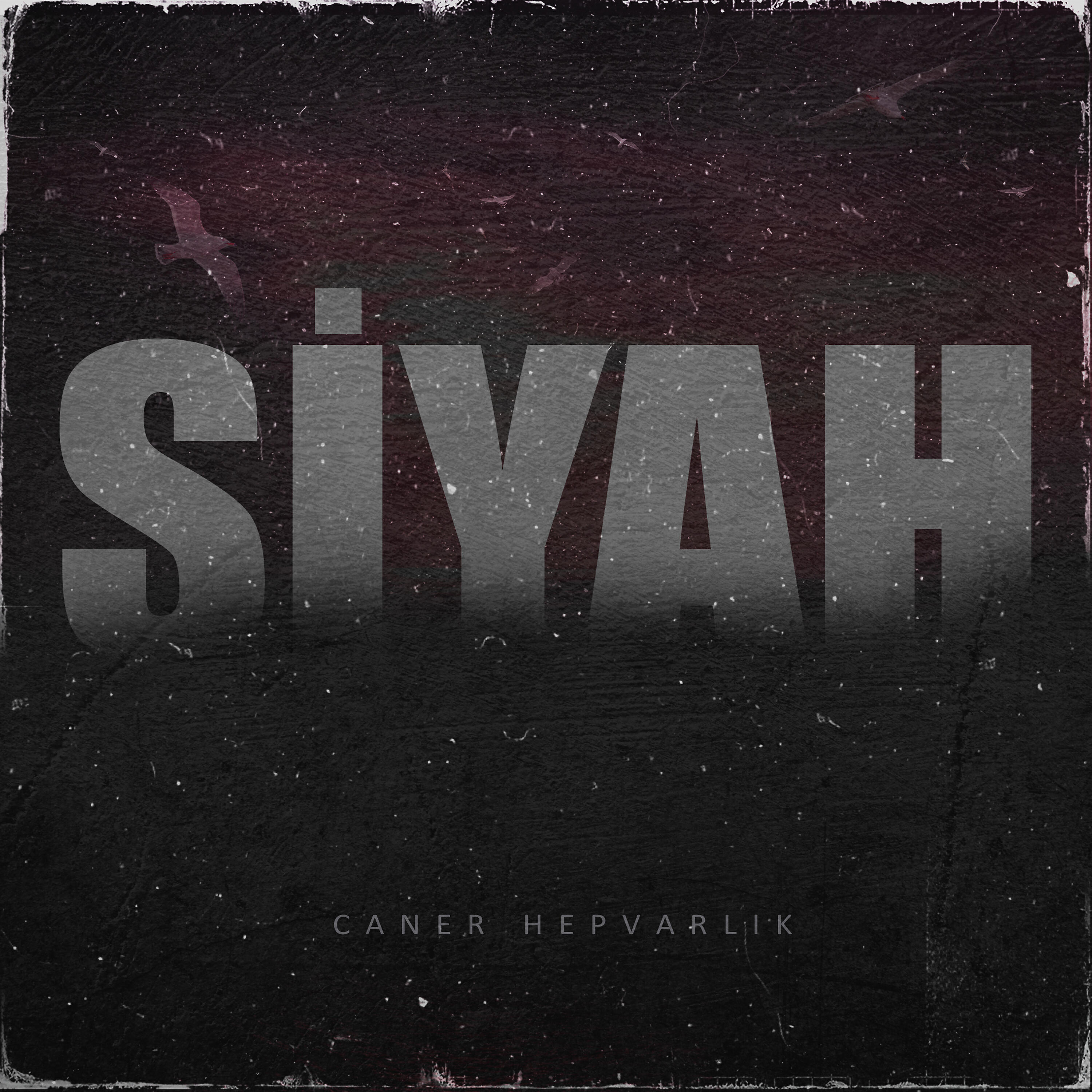 Caner Hepvarlık - Siyah