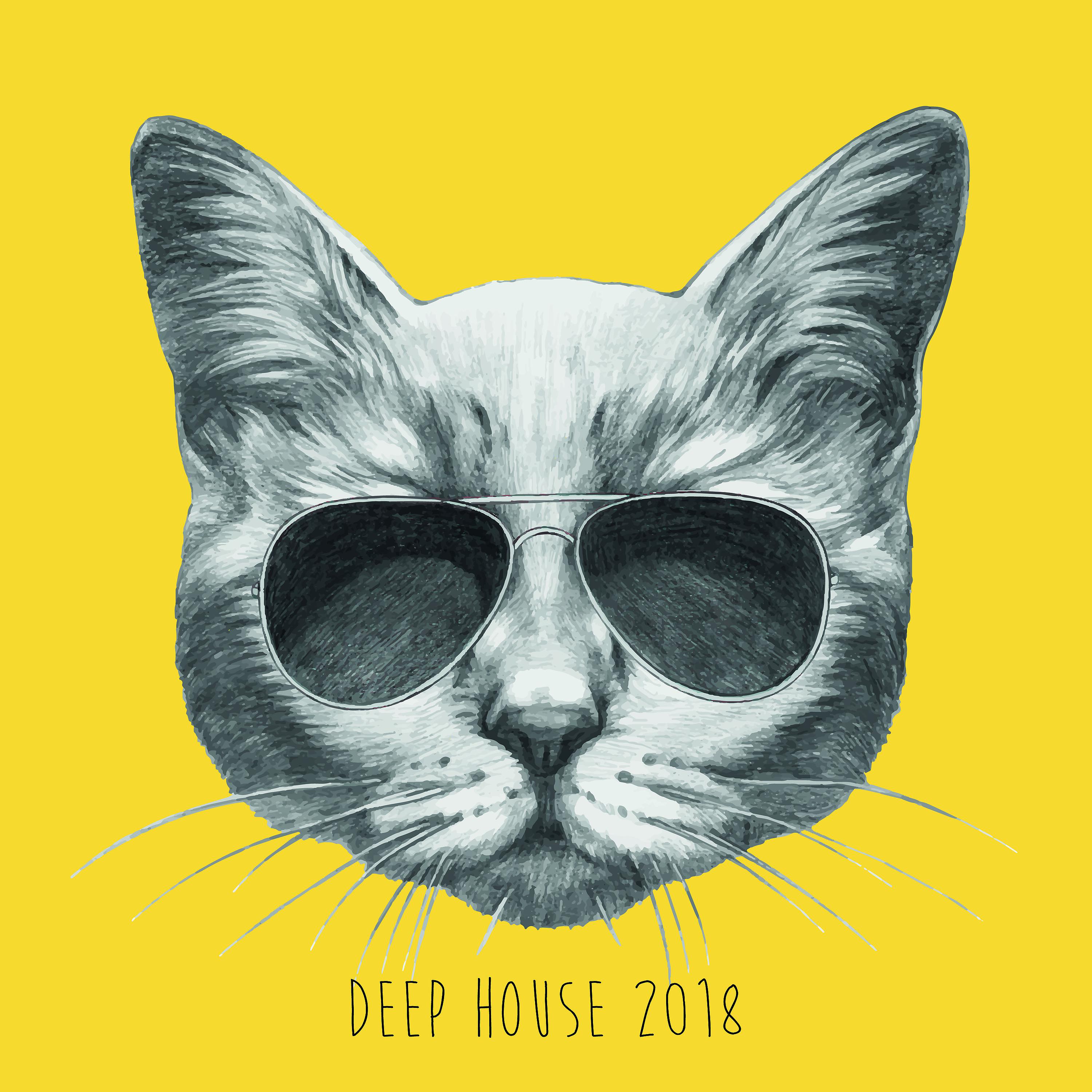 Постер альбома Deep House 2018