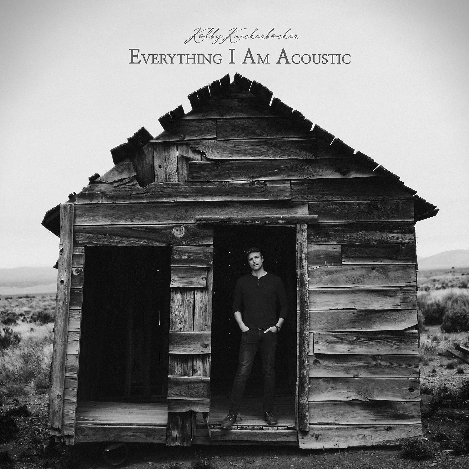 Постер альбома Everything I Am (Acoustic)