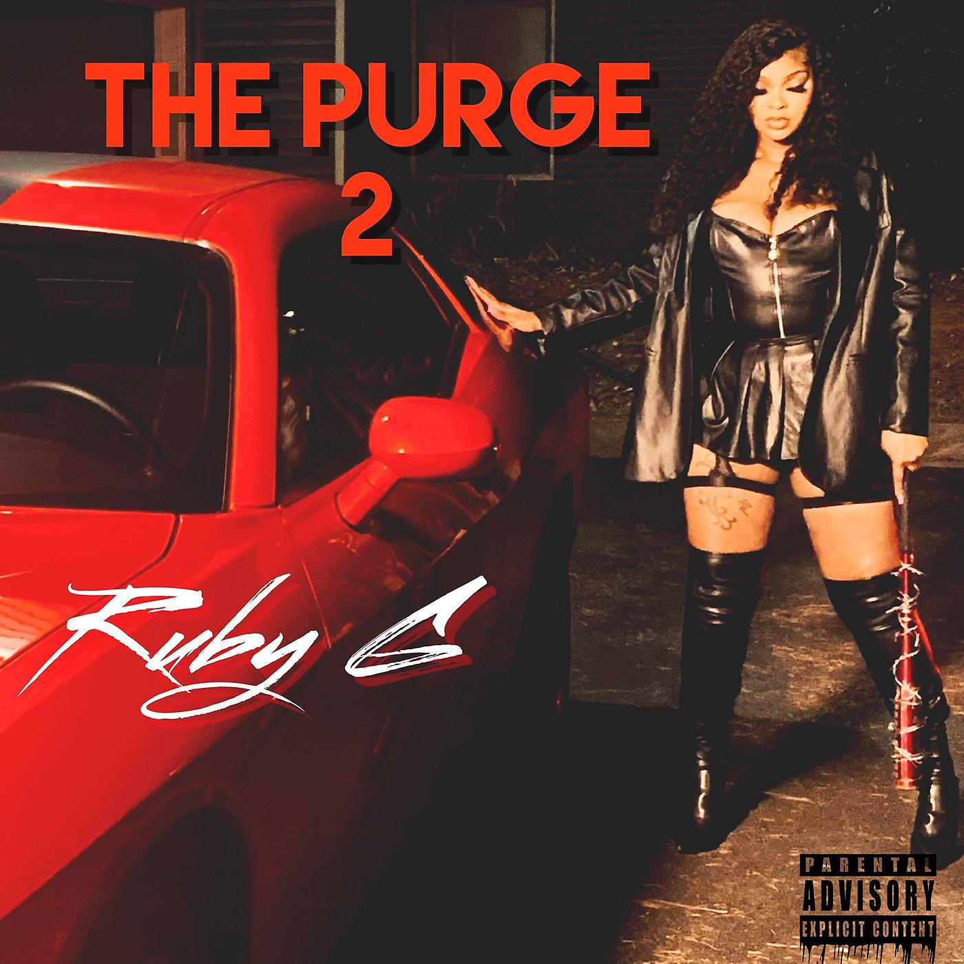 Постер альбома The Purge 2