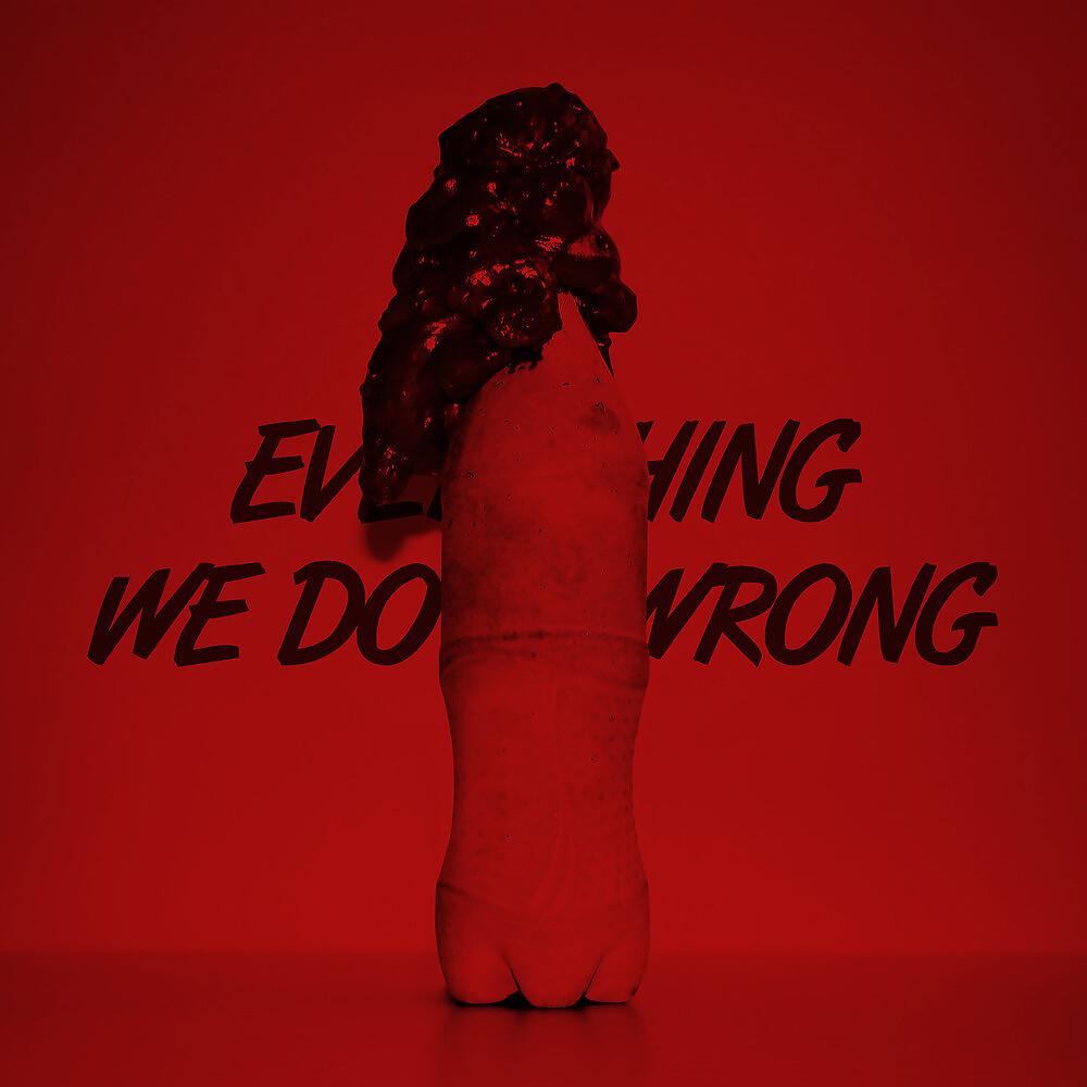 Постер альбома Everything We Do Is Wrong