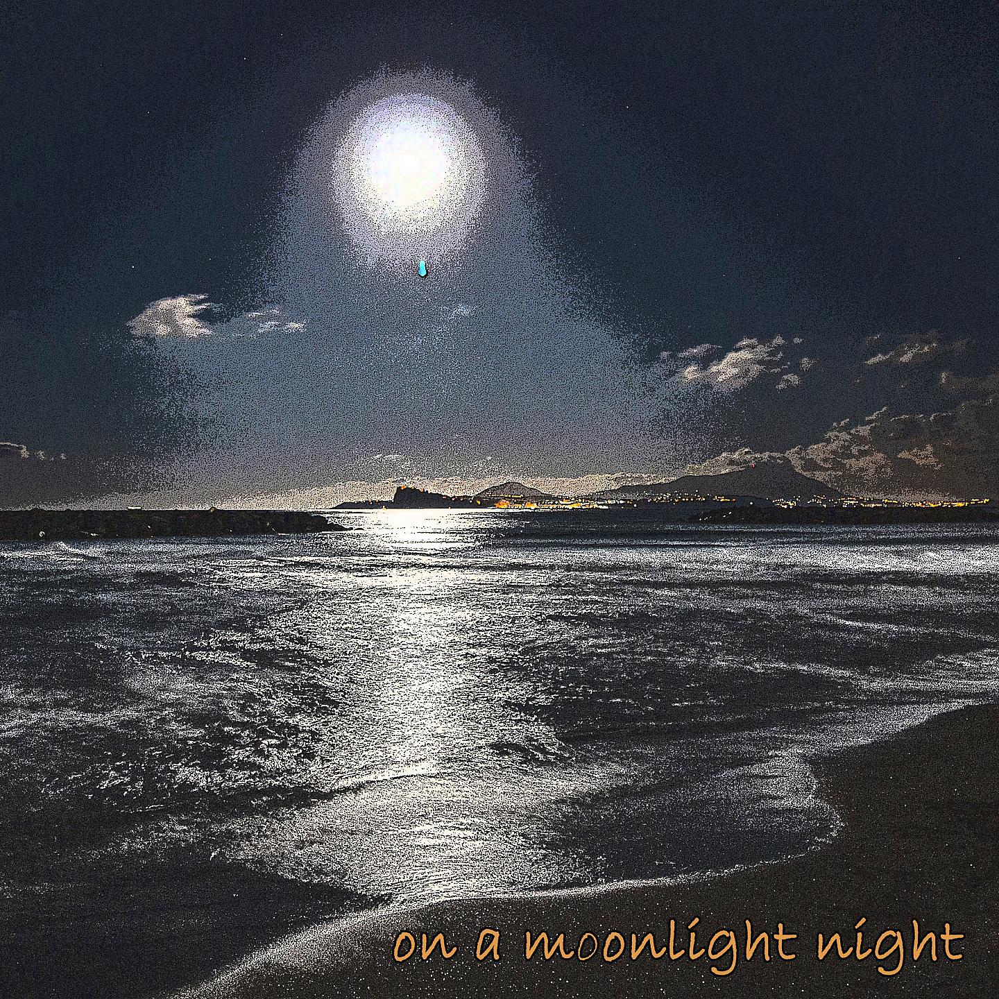Постер альбома On a Moonlight Night