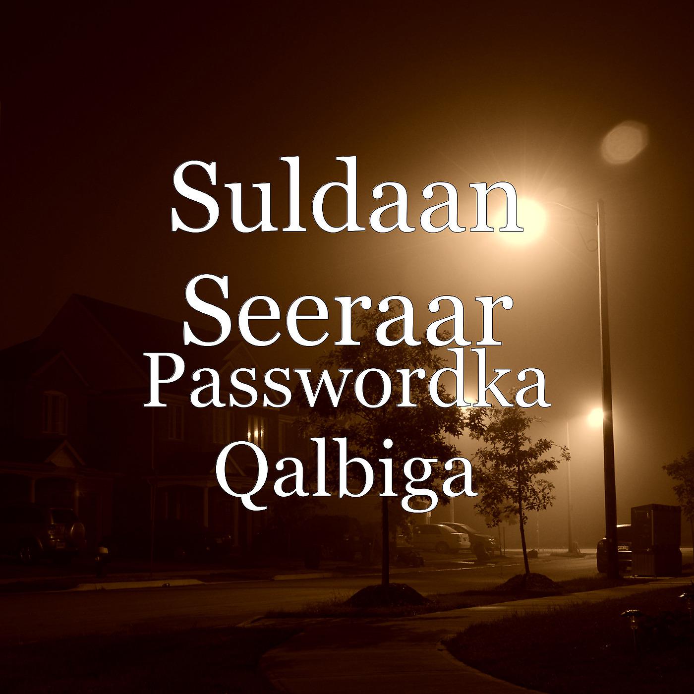 Постер альбома Passwordka Qalbiga
