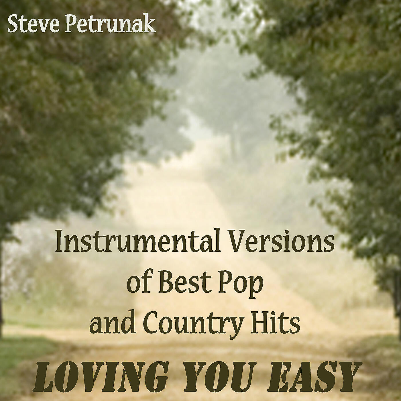Steve Petrunak - Loving You Easy (Instrumental Version)