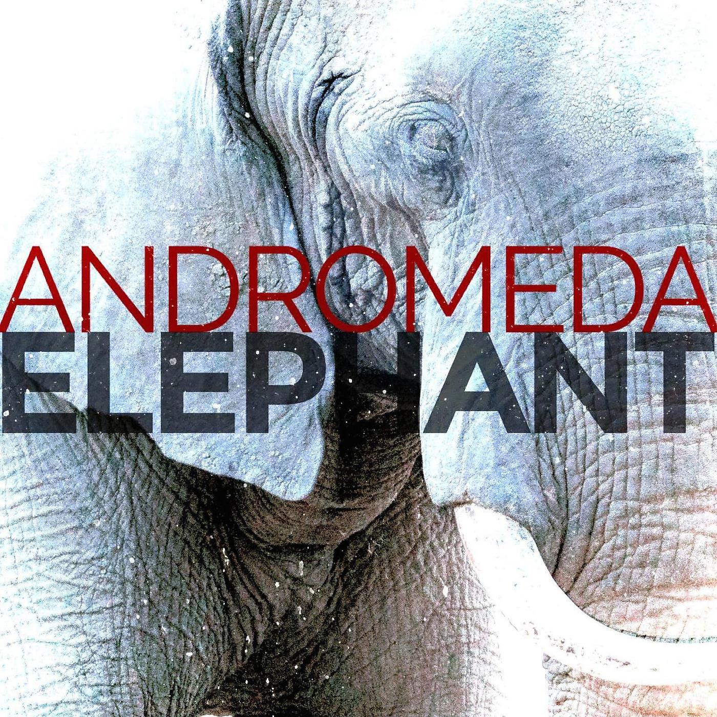 Постер альбома Elephant