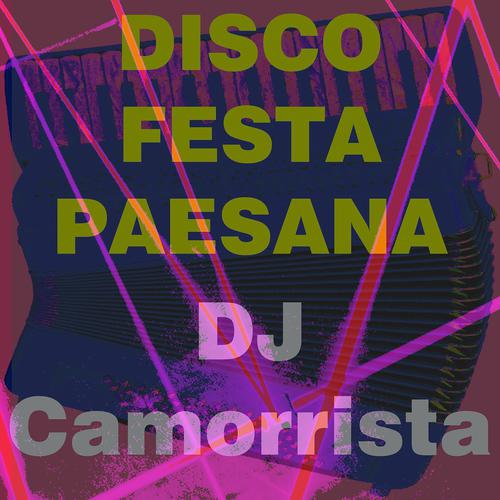 Постер альбома Disco festa paesana
