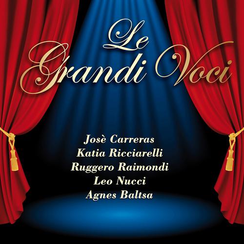 Постер альбома Grandi Voci