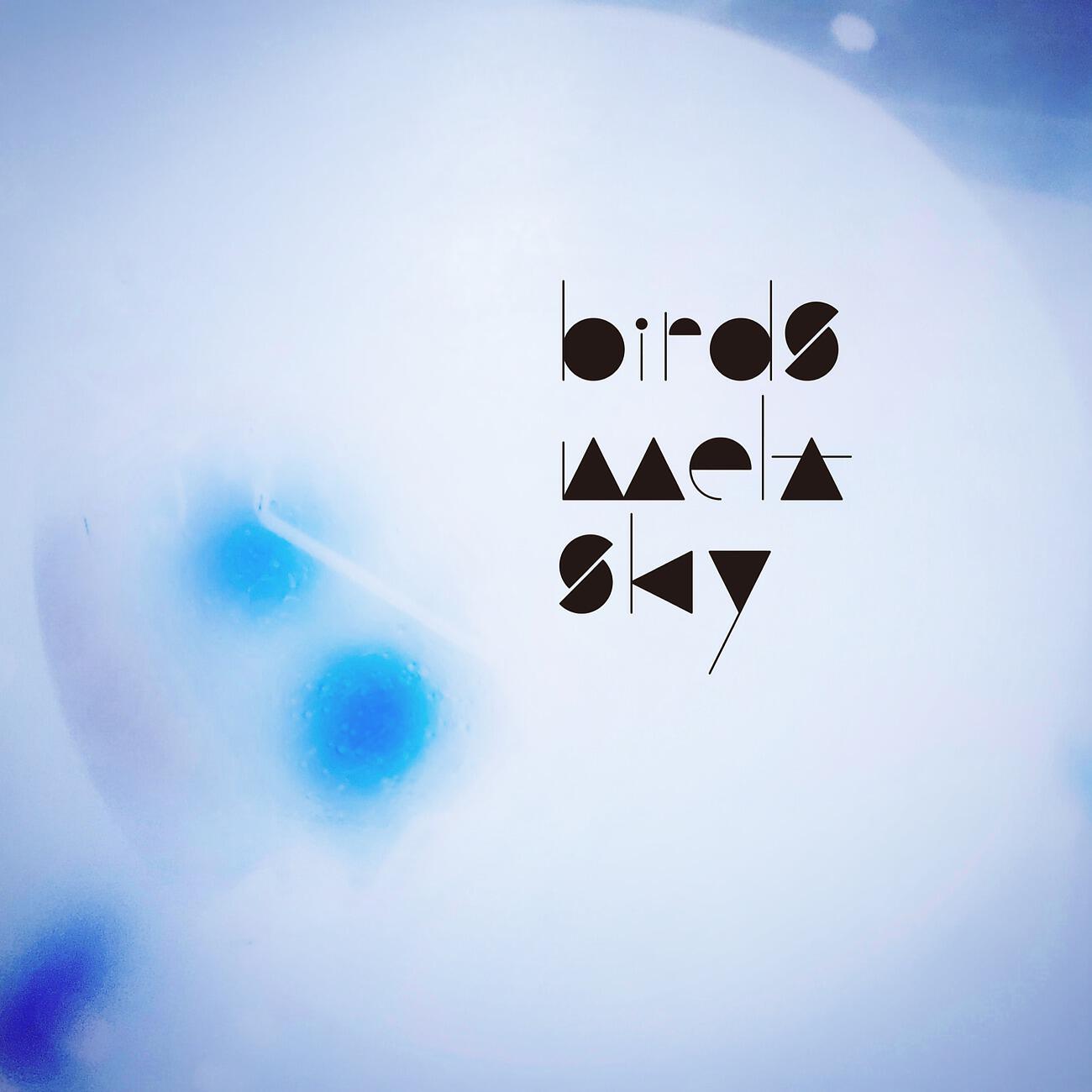 Birds Melt Sky - Back to the Moon
