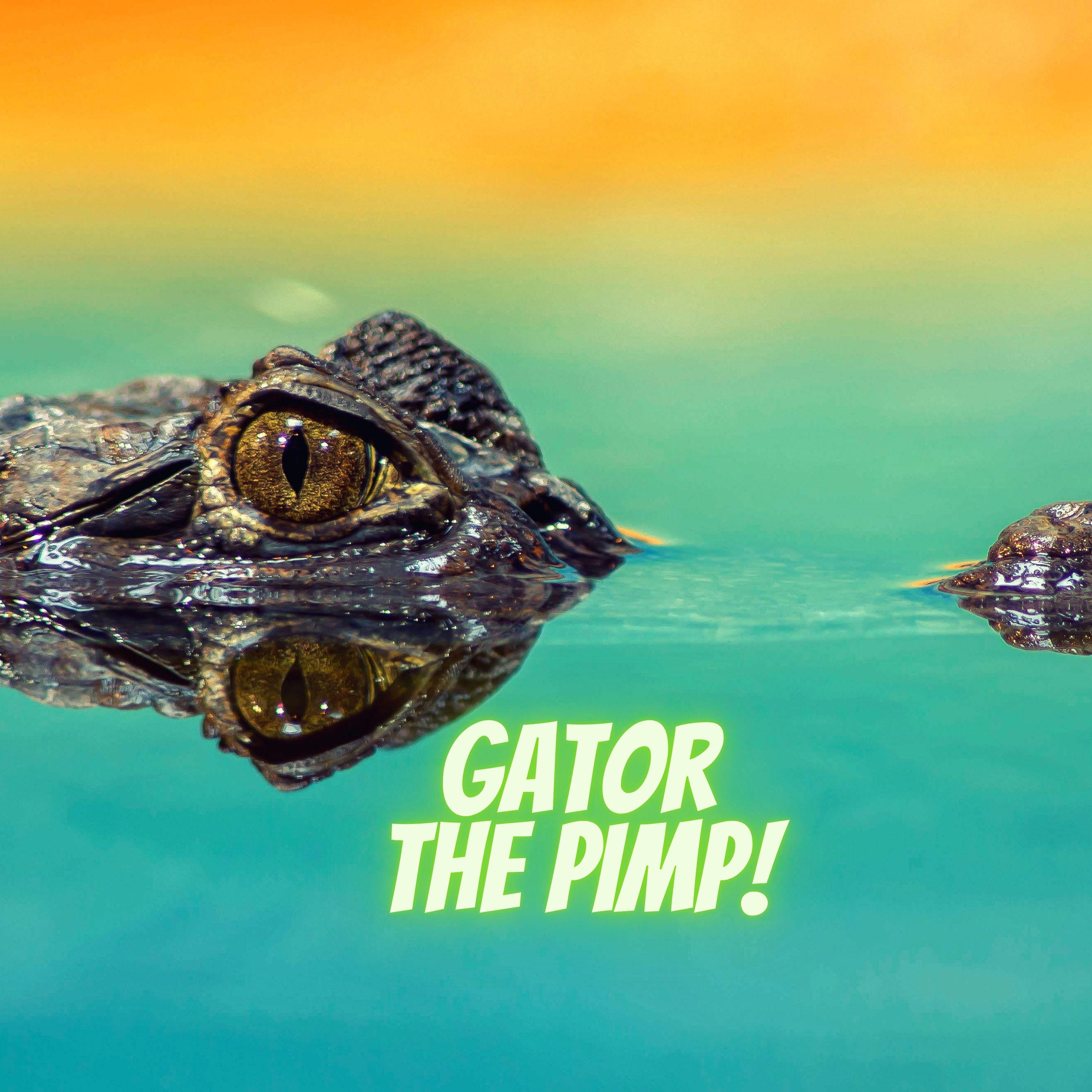 Постер альбома Gator The Pimp