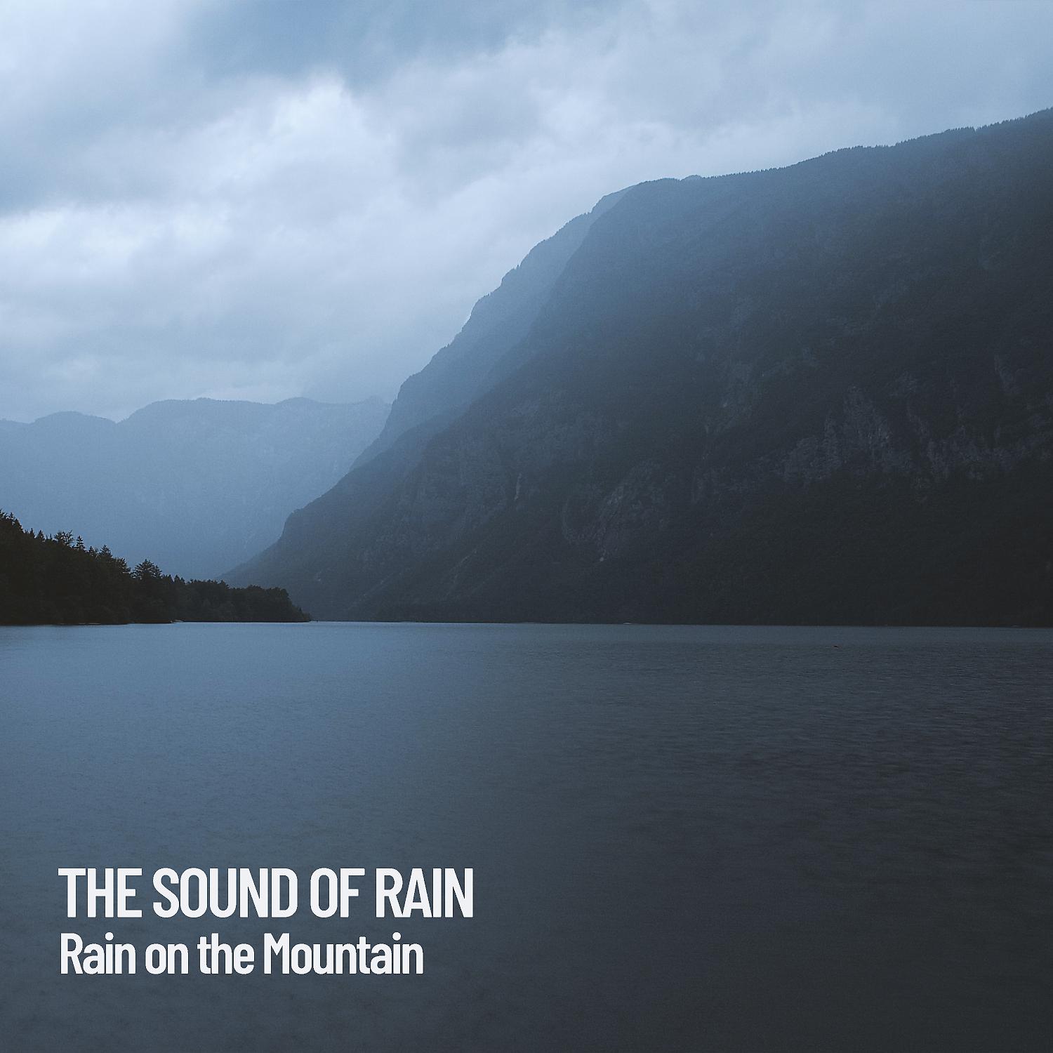 Постер альбома The Sound of Rain: Rain on the Mountain