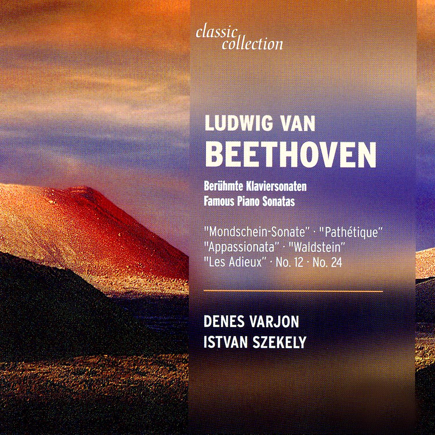 Постер альбома Beethoven: Famous Piano Sonatas