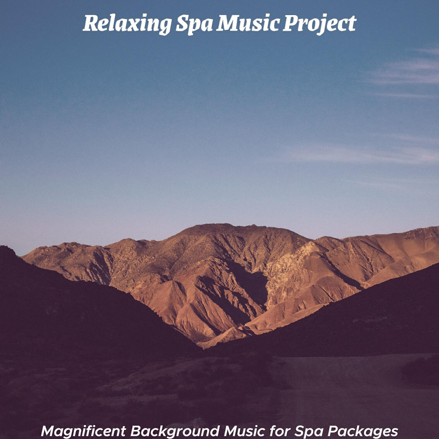 Relaxing Spa Music Project - Number One Shakuhachi and Harps - Vibe for Wellness Treatments