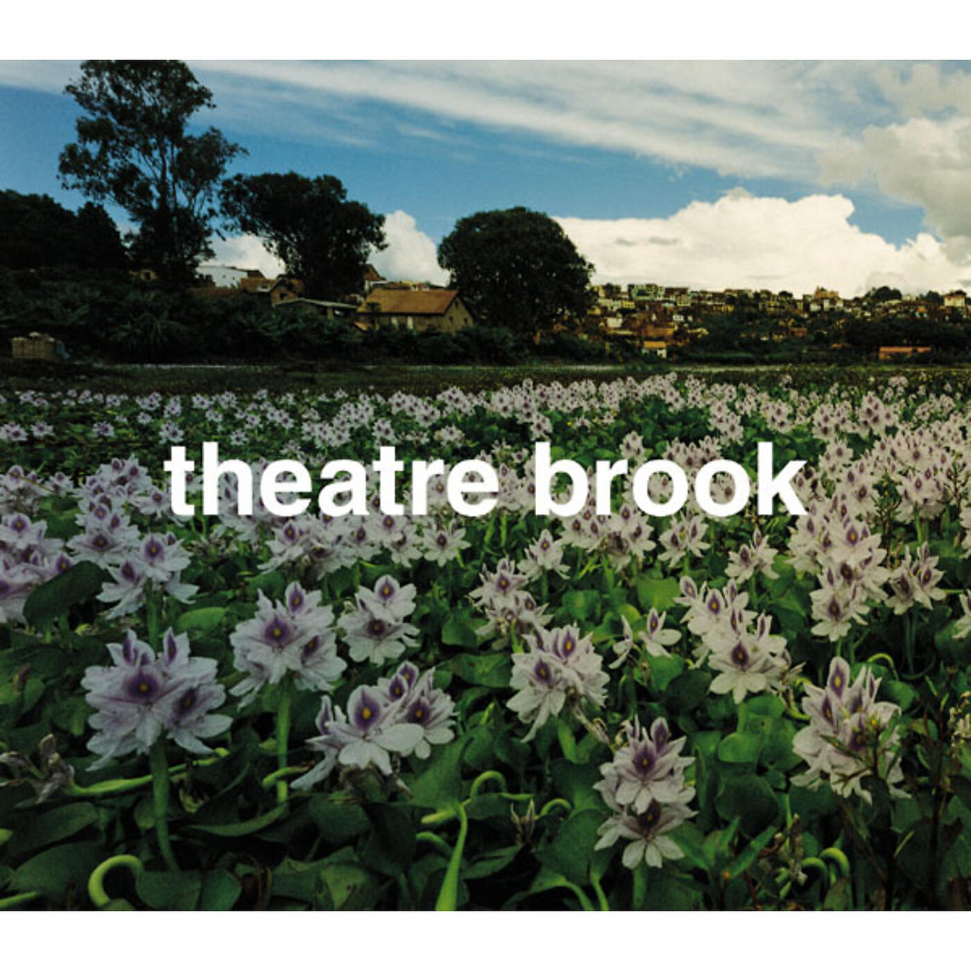 Theatre Brook - Shinzou No Mezamerutoki