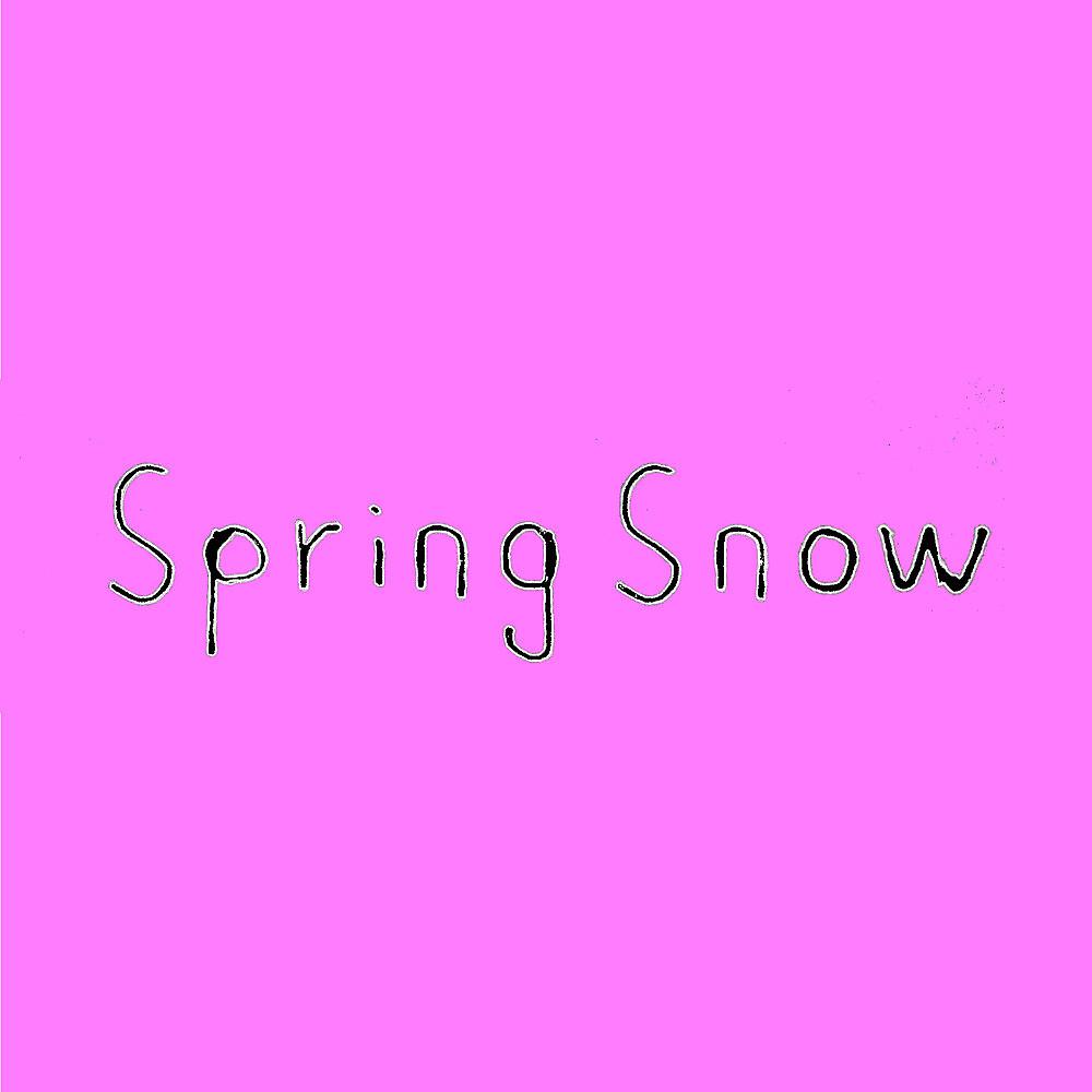 Постер альбома Spring Snow