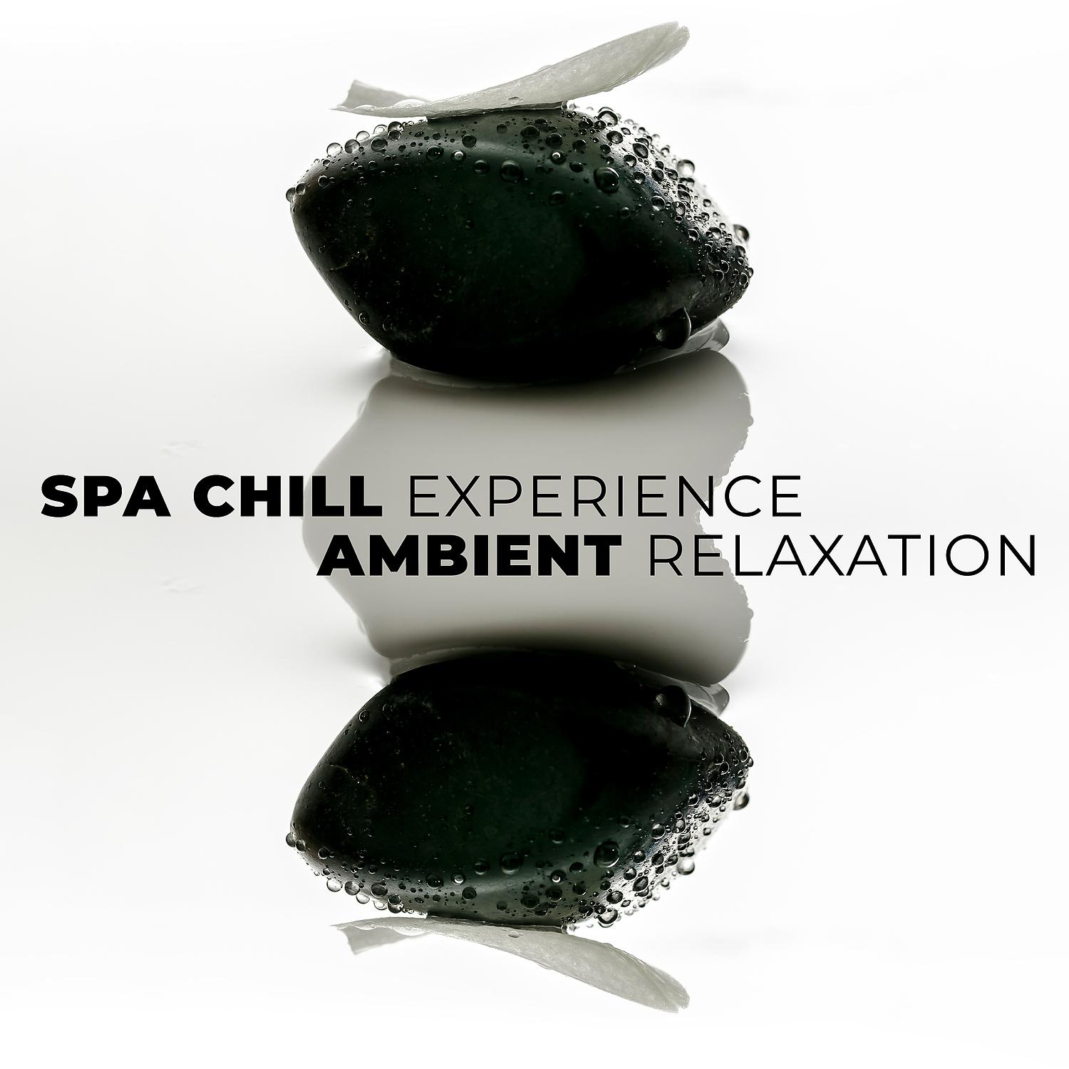 Постер альбома Spa Chill Experience - Ambient Relaxation, Tranquility Music Therapy for Massage, Wellness, Meditation