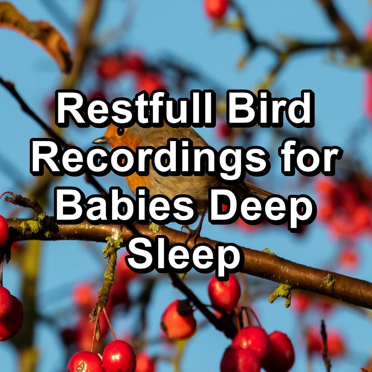 Baby Sleep Music - Beautiful Bird Sounds For Deep Sleep To Help Your Baby Relax