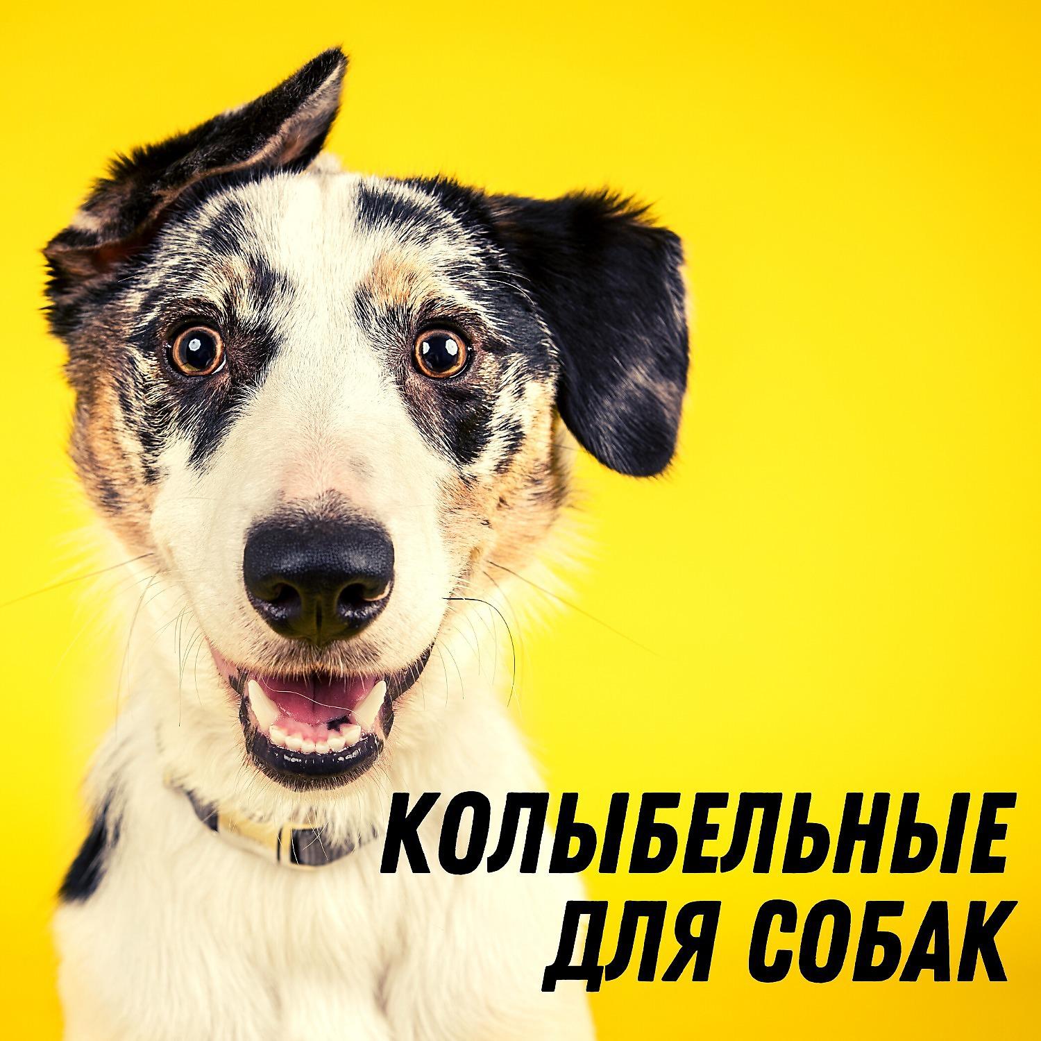 Постер альбома Колыбельные для собак – Yспокаивающая, расслабляющая музыка для домашних животных, успокаивающая музыкальная терапия, звуки природы, спокойствие и расслабление
