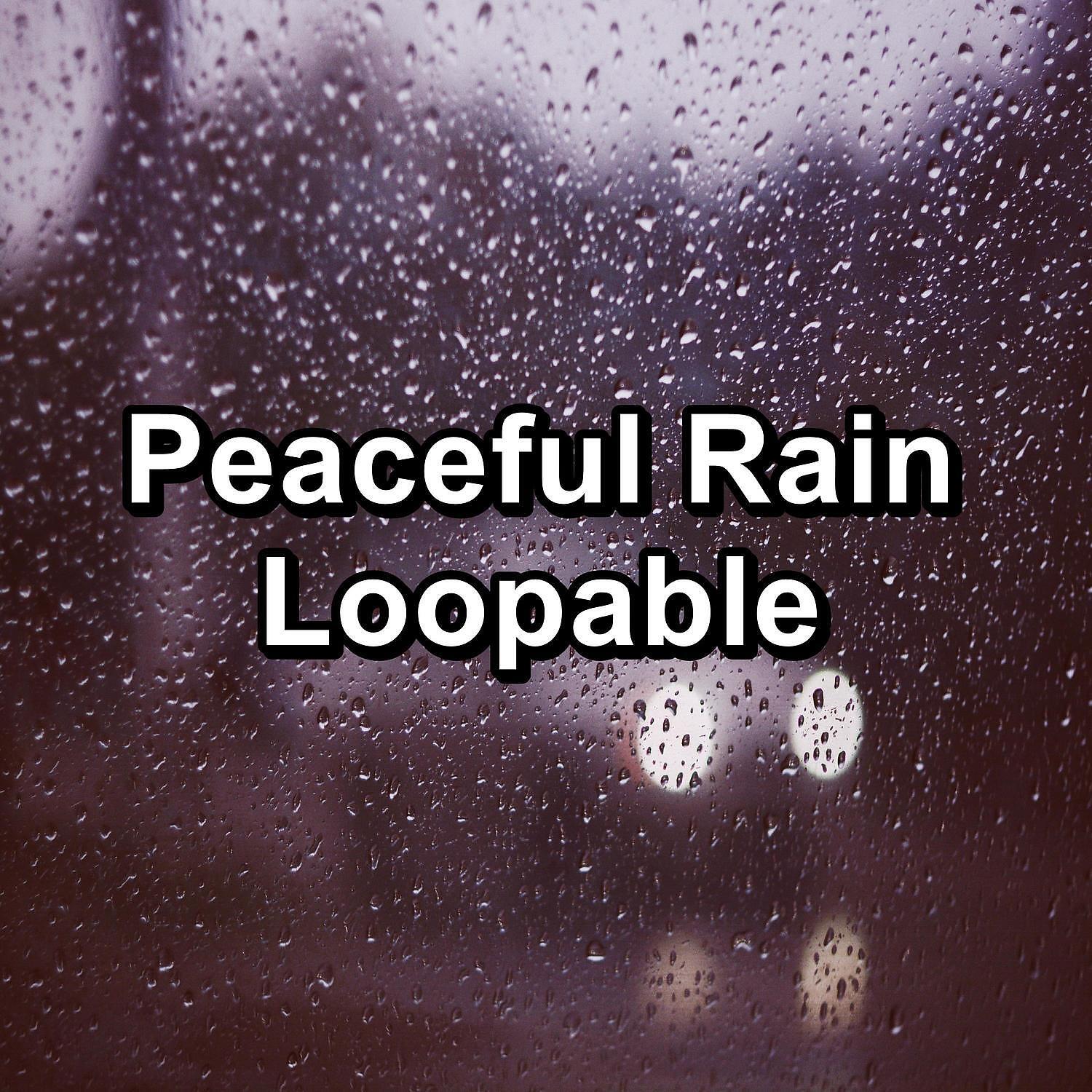 Rain Shower Spa - Forest Rain For Relaxing Times Noise for Trouble Sleeping