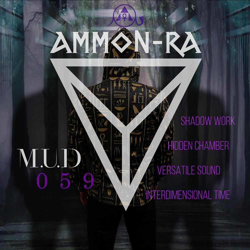 Постер альбома Shadow Work EP