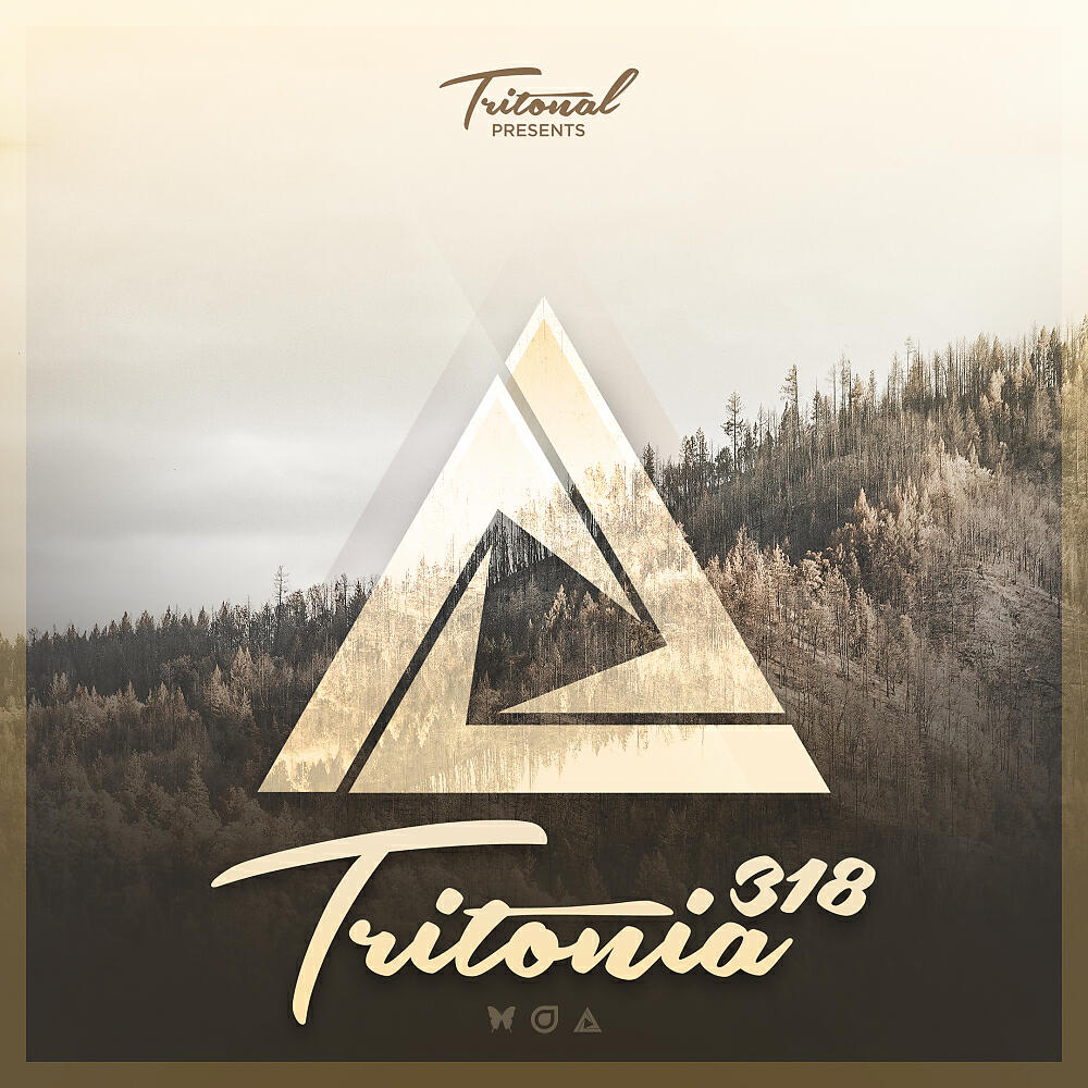 Beatsole - Midnight (Tritonia 318) (Original Mix)