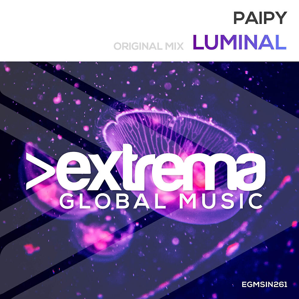 Paipy - Luminal (Extended Mix)