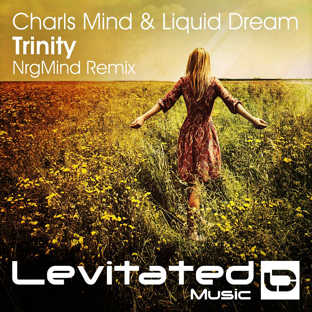Постер альбома Trinity (NrgMind Remix)