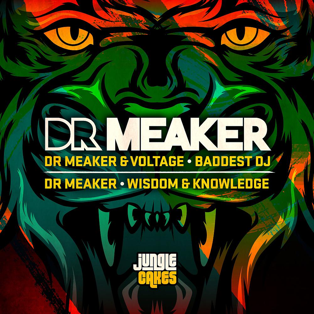 Постер альбома Baddest DJ / Wisdom & Knowledge