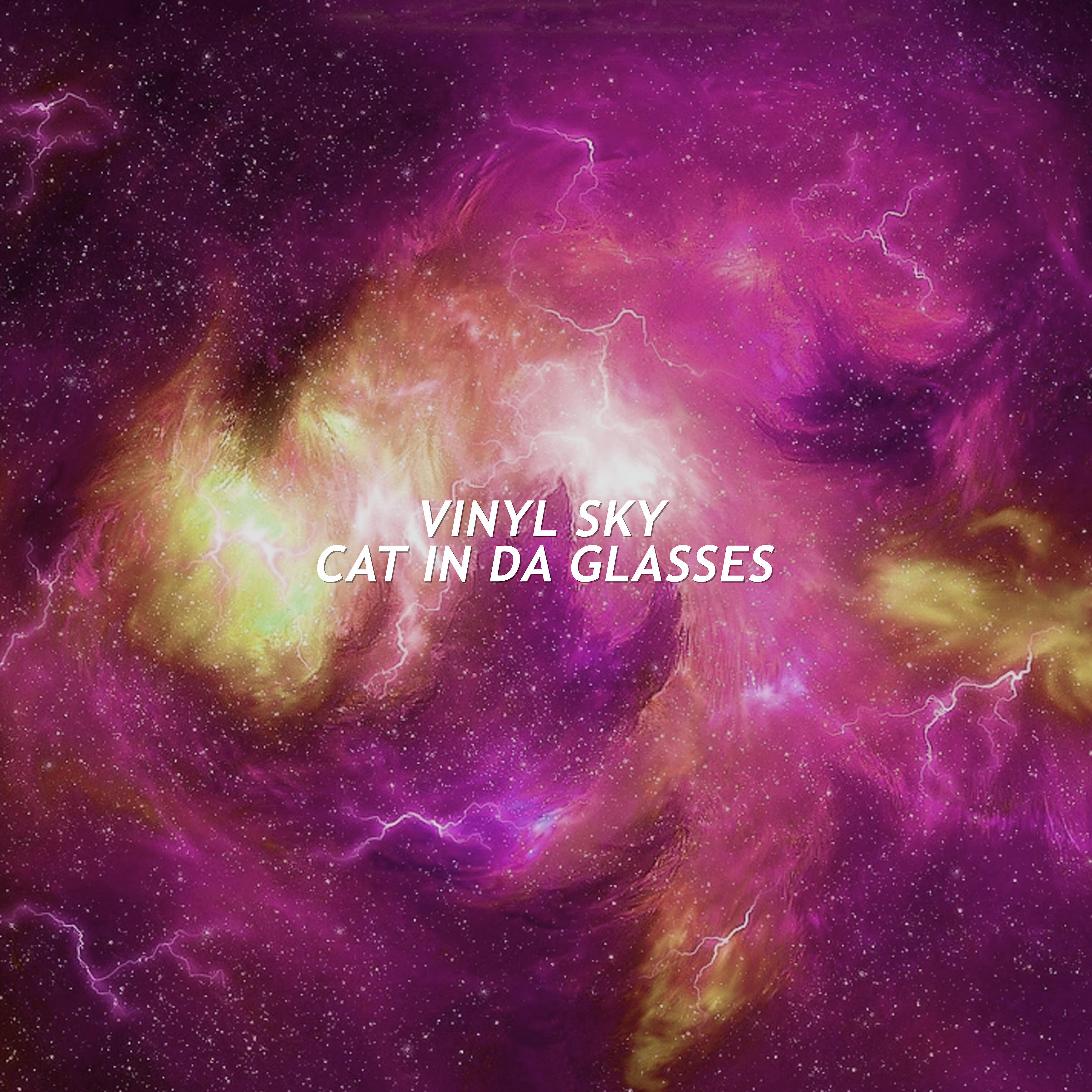CAT IN DA GLASSES - Vinyl Sky