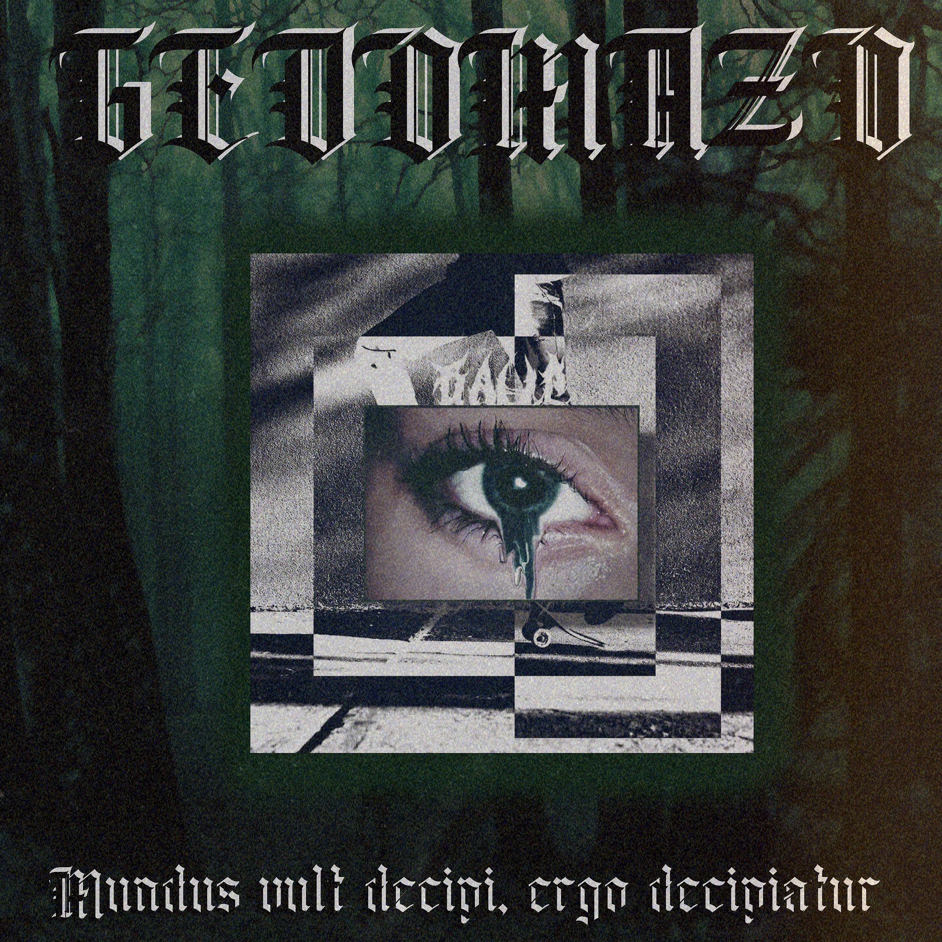 Постер альбома Mundus Vult Decipi, Ergo Decipiatur