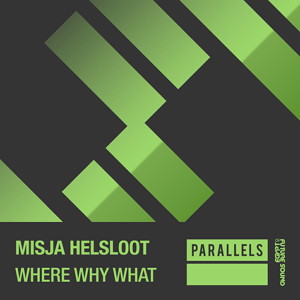 Misja Helsloot - Where Why What (Original Mix)