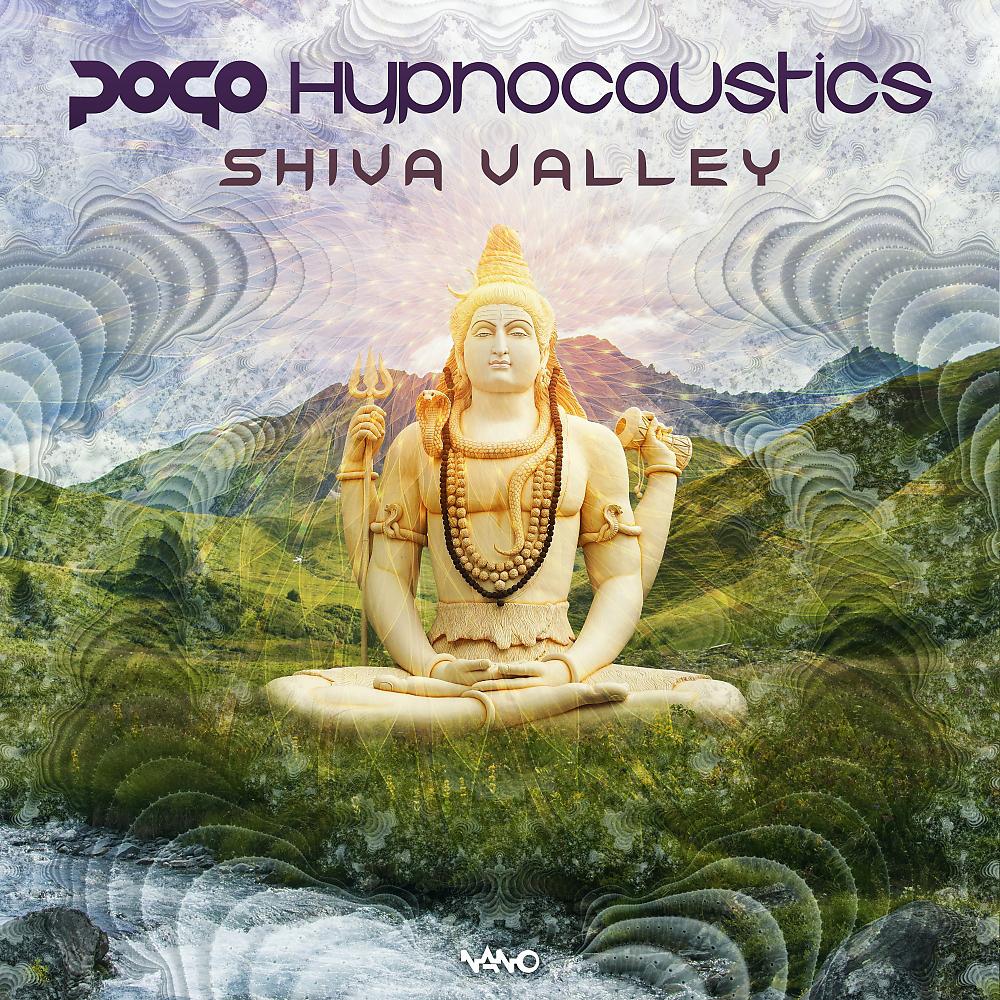 Постер альбома Shiva Valley