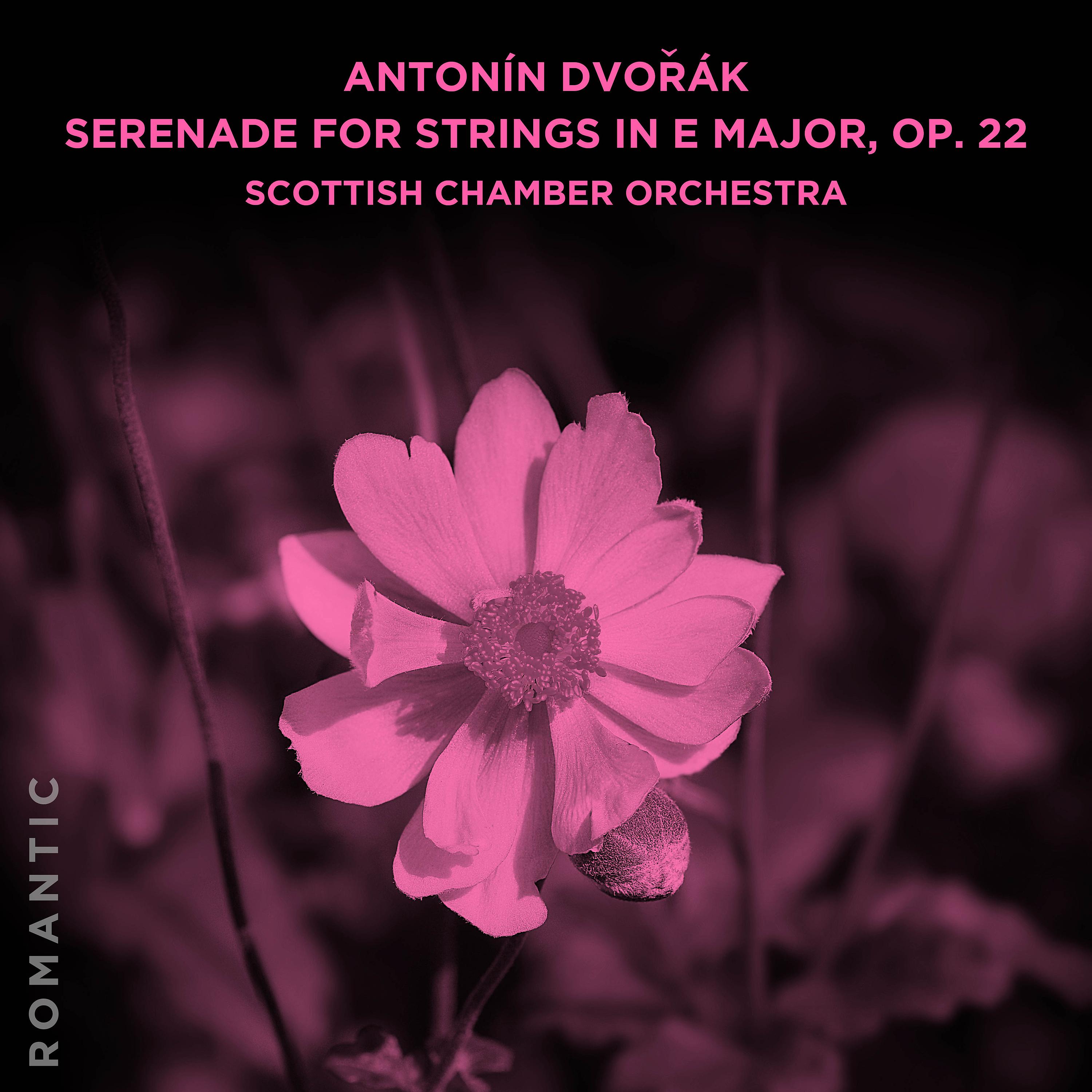 Scottish Chamber Orchestra - Serenade for Strings in E Major, Op. 22: III. Scherzo. Vivace