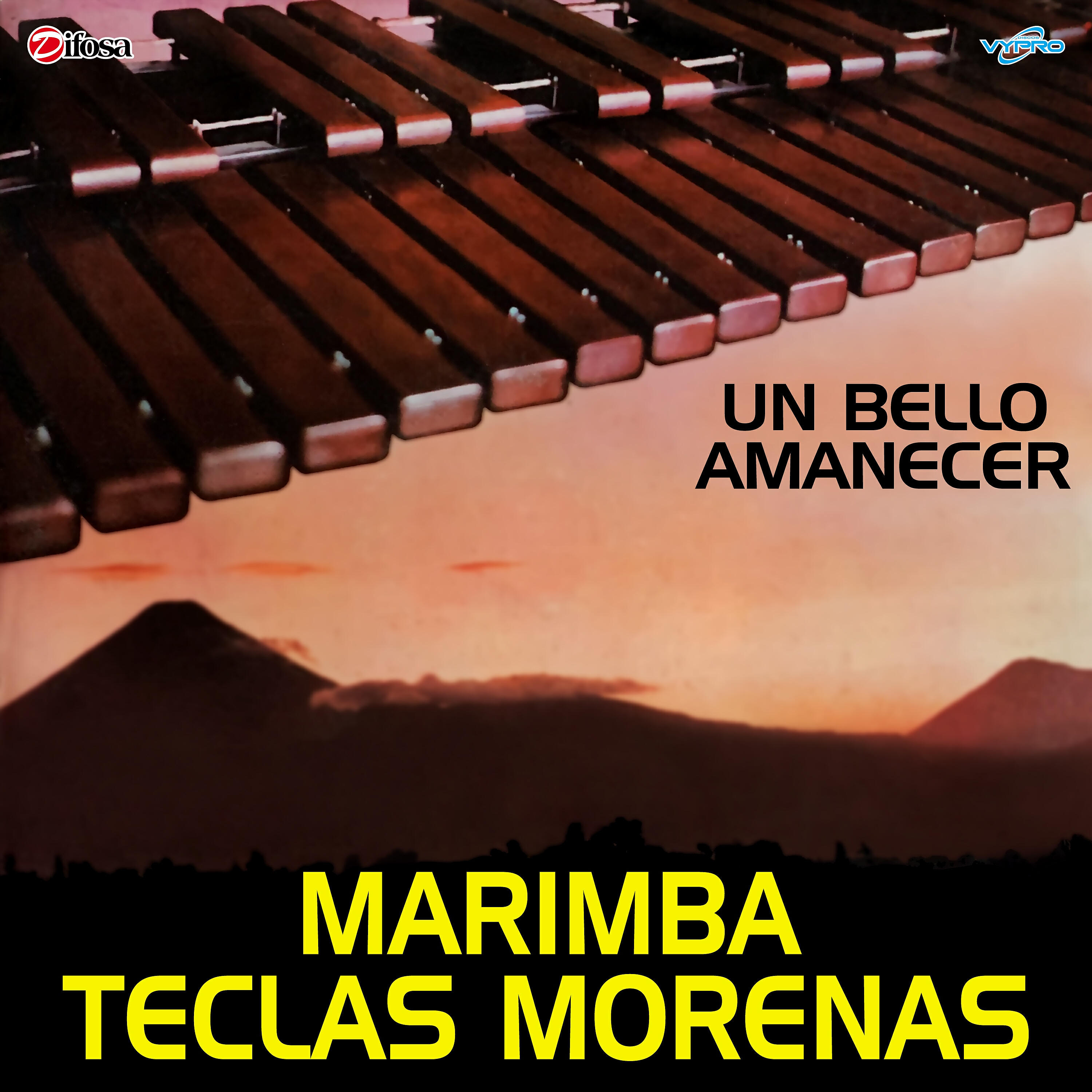 Marimba Teclas Morenas - Mi Amigo Jhony