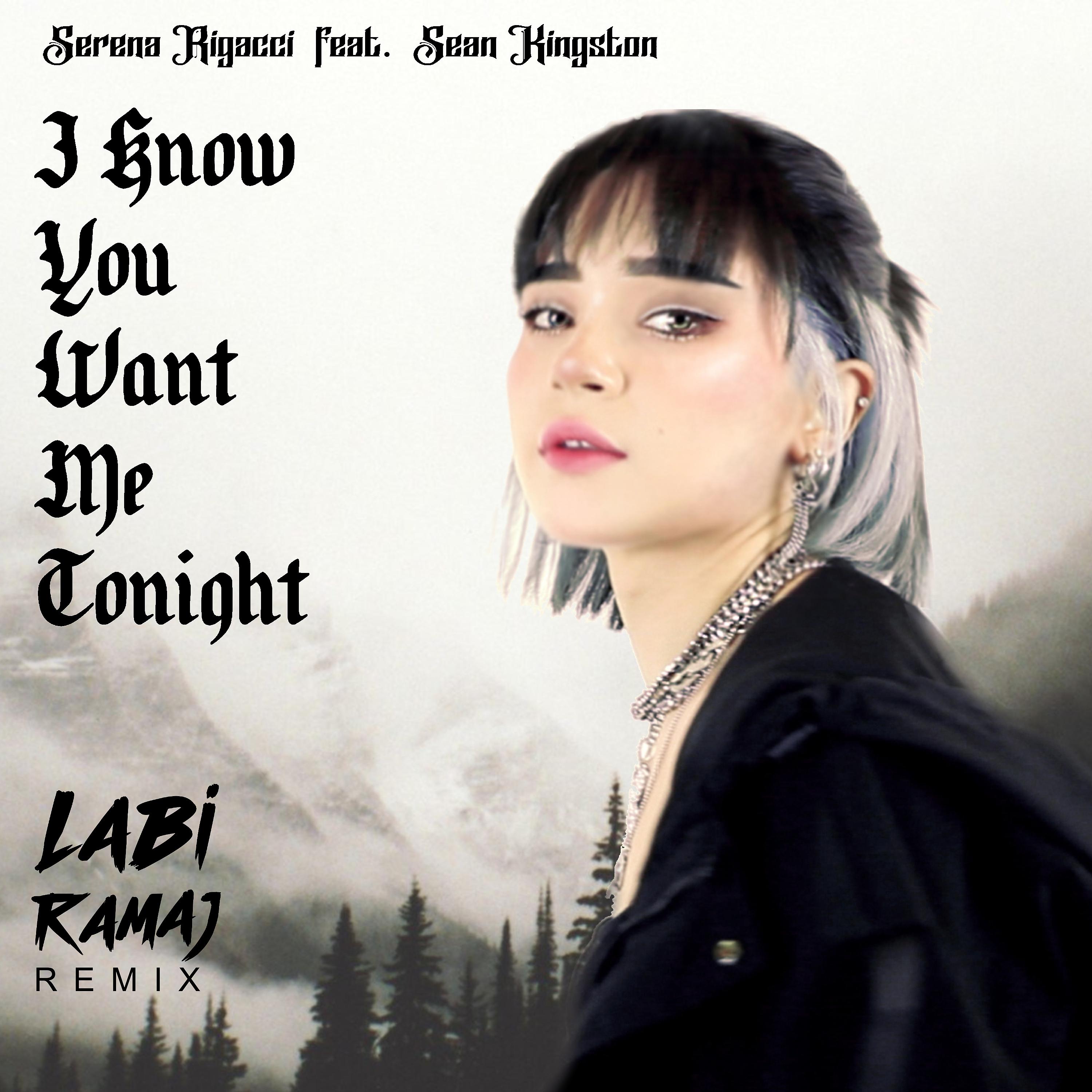 Постер альбома I Know You Want Me Tonight (Remix)