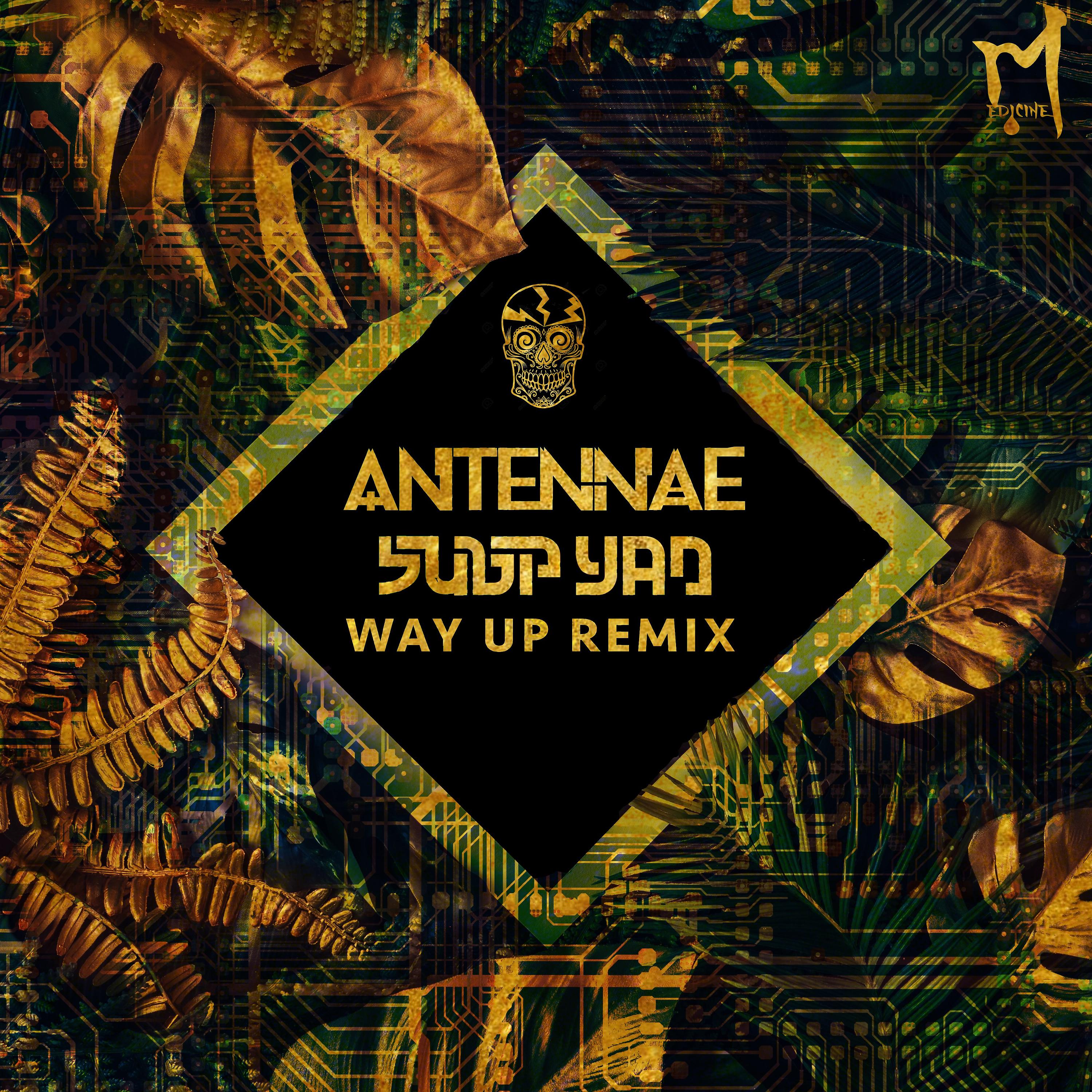 Постер альбома Way Up (Subp Yao Remix)