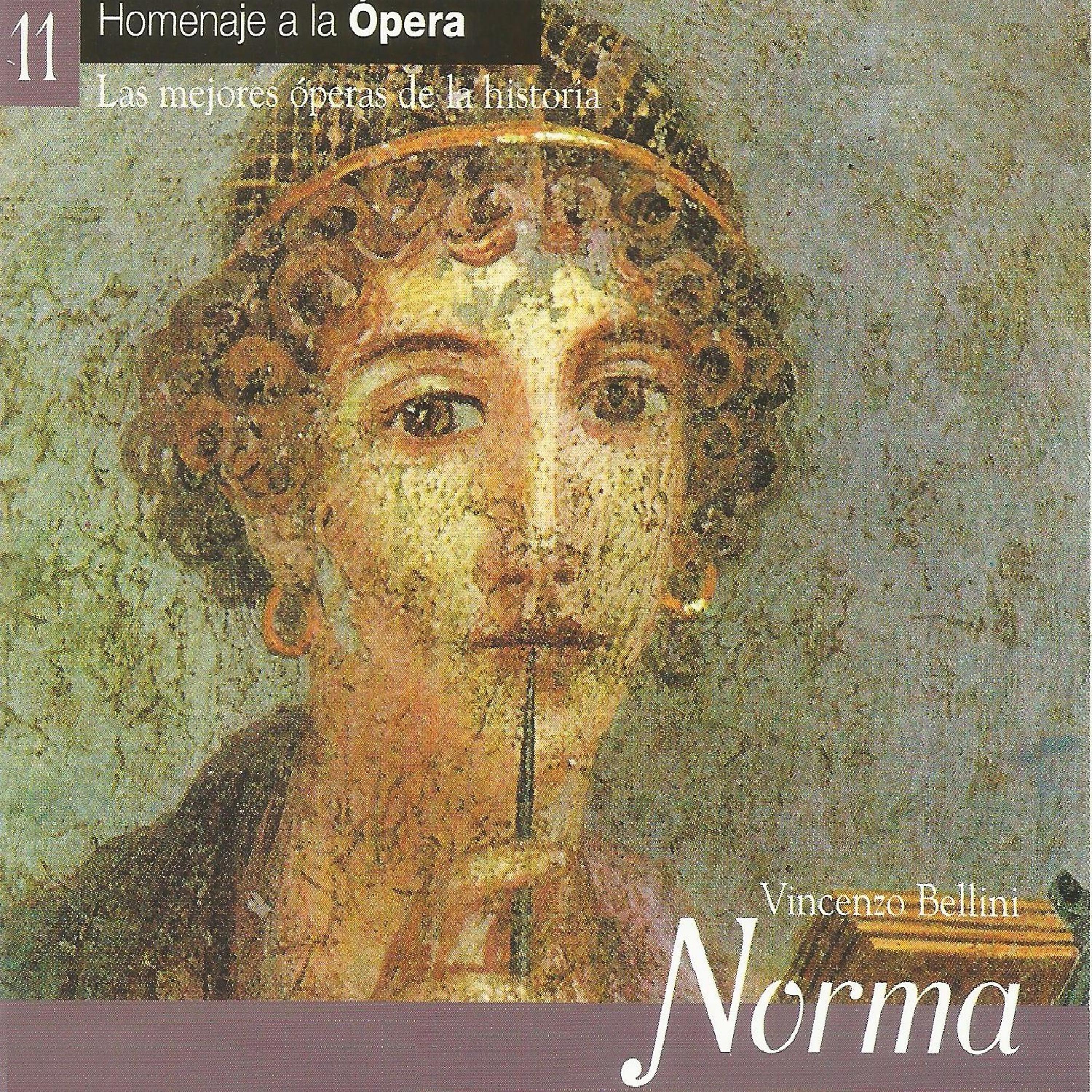 Постер альбома Norma - Vincenzo Bellini