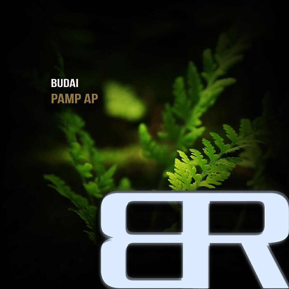 Budai - Pamp Ap (Original Mix)