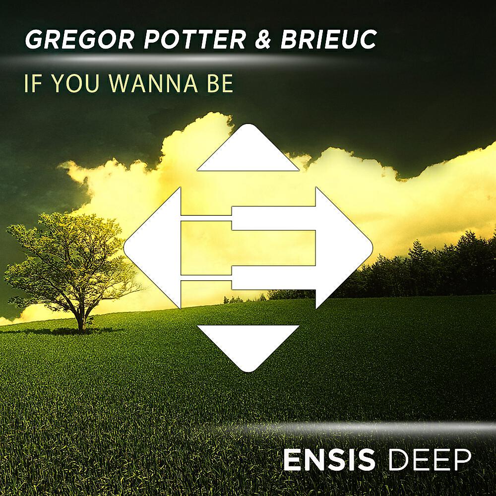 Gregor Potter - If You Wanna Be (Radio Edit)