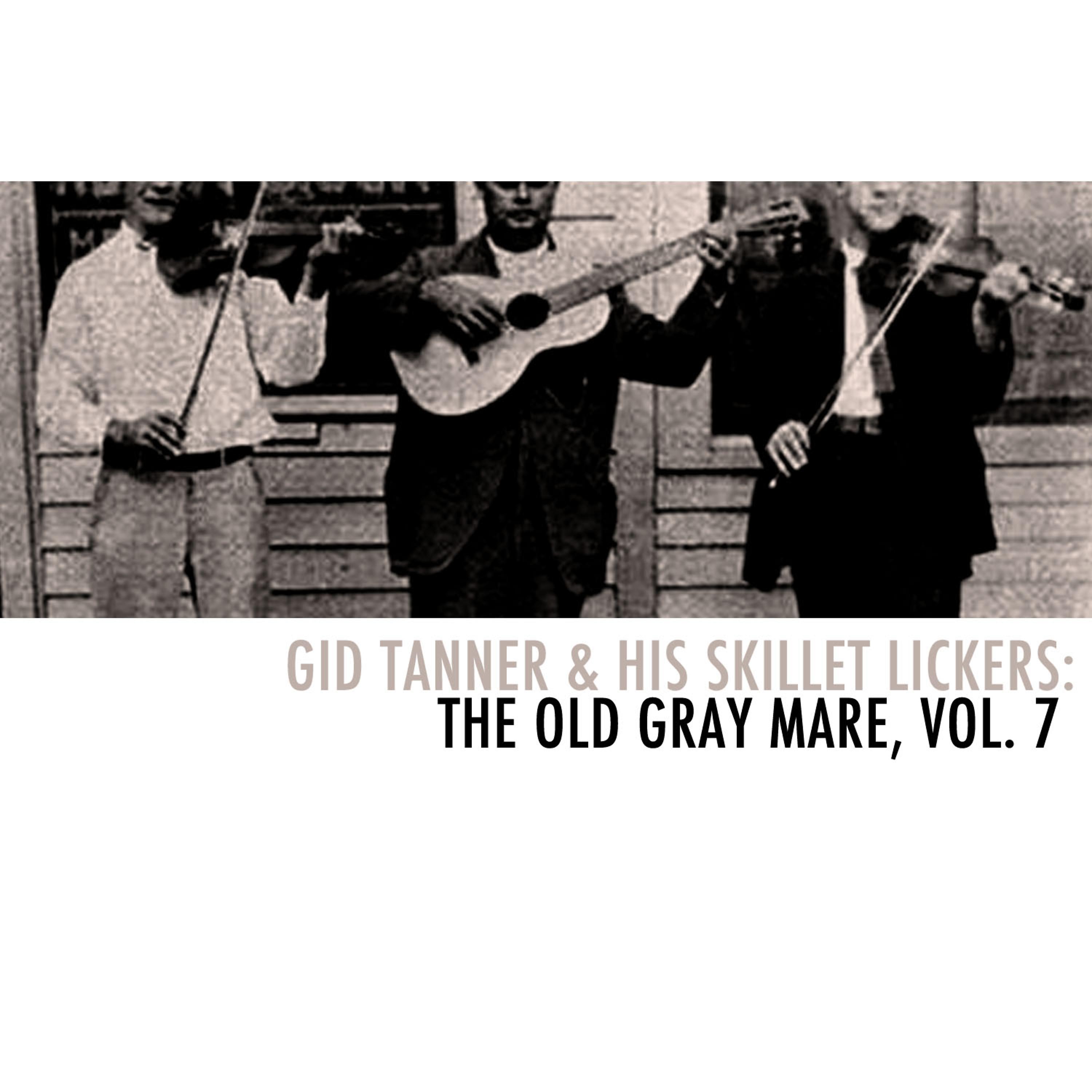 Постер альбома Gid Tanner & His Skillet Lickers: The Old Gray Mare, Vol. 7