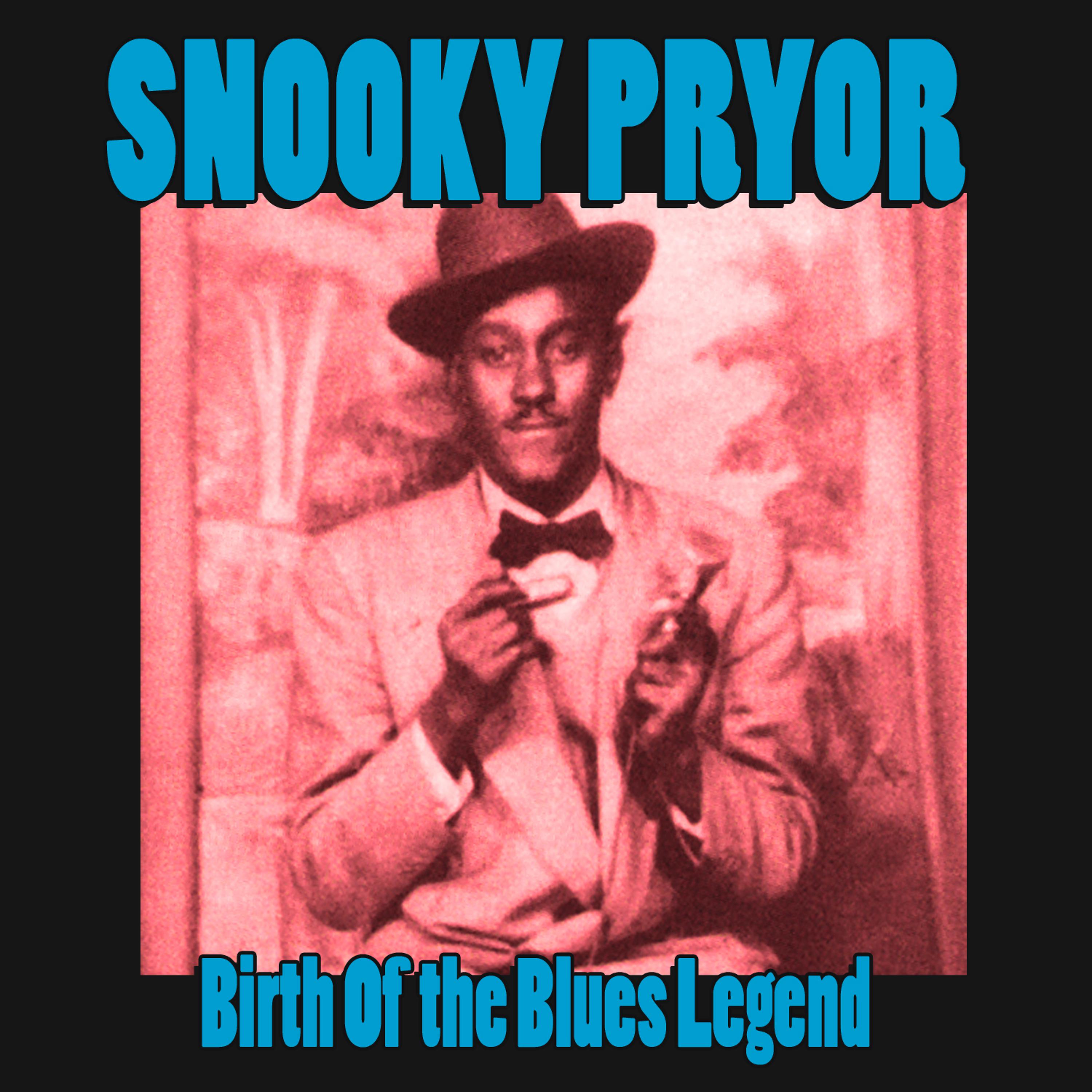 Постер альбома Birth of the Blues Legend